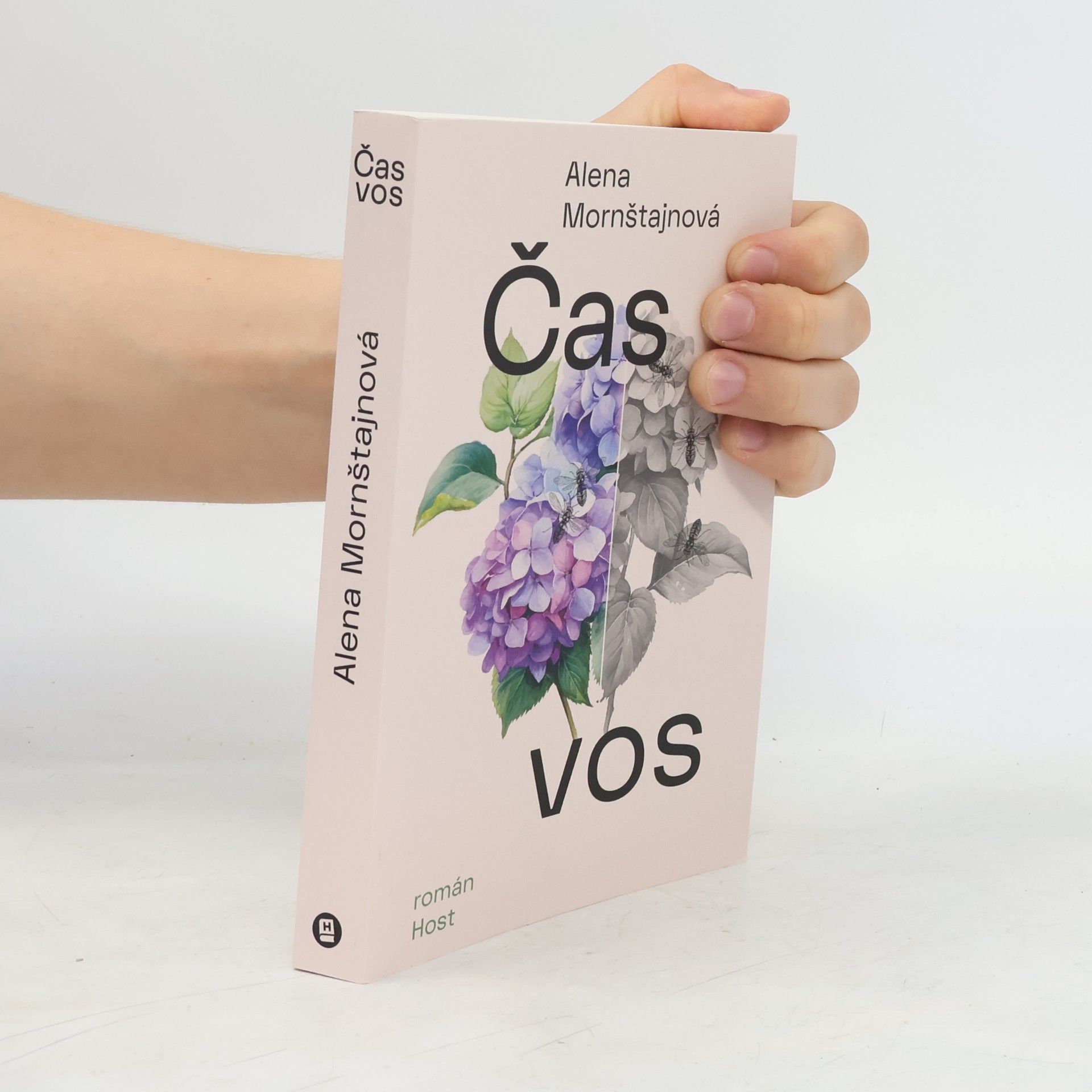 Čas vos