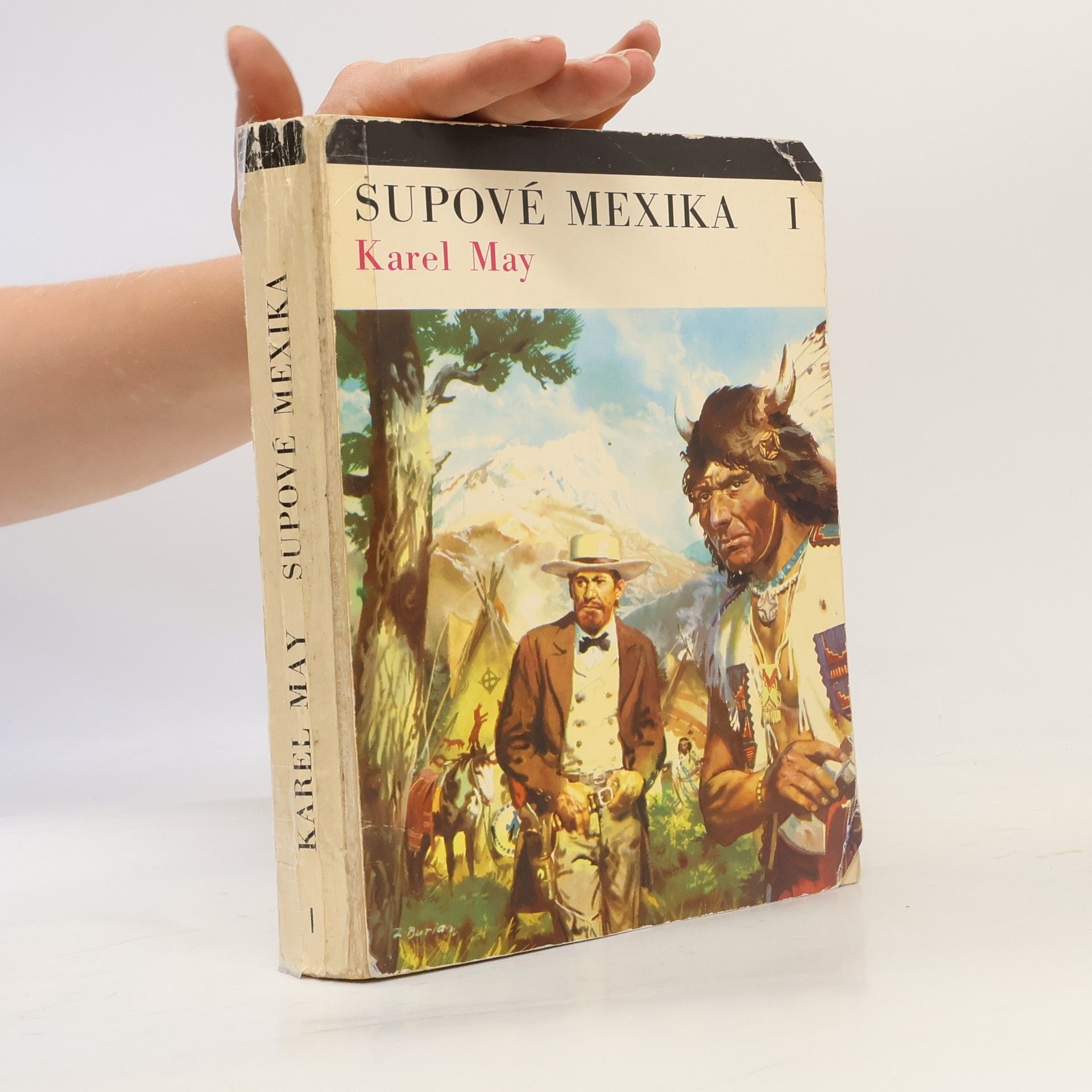 Supové Mexika I.