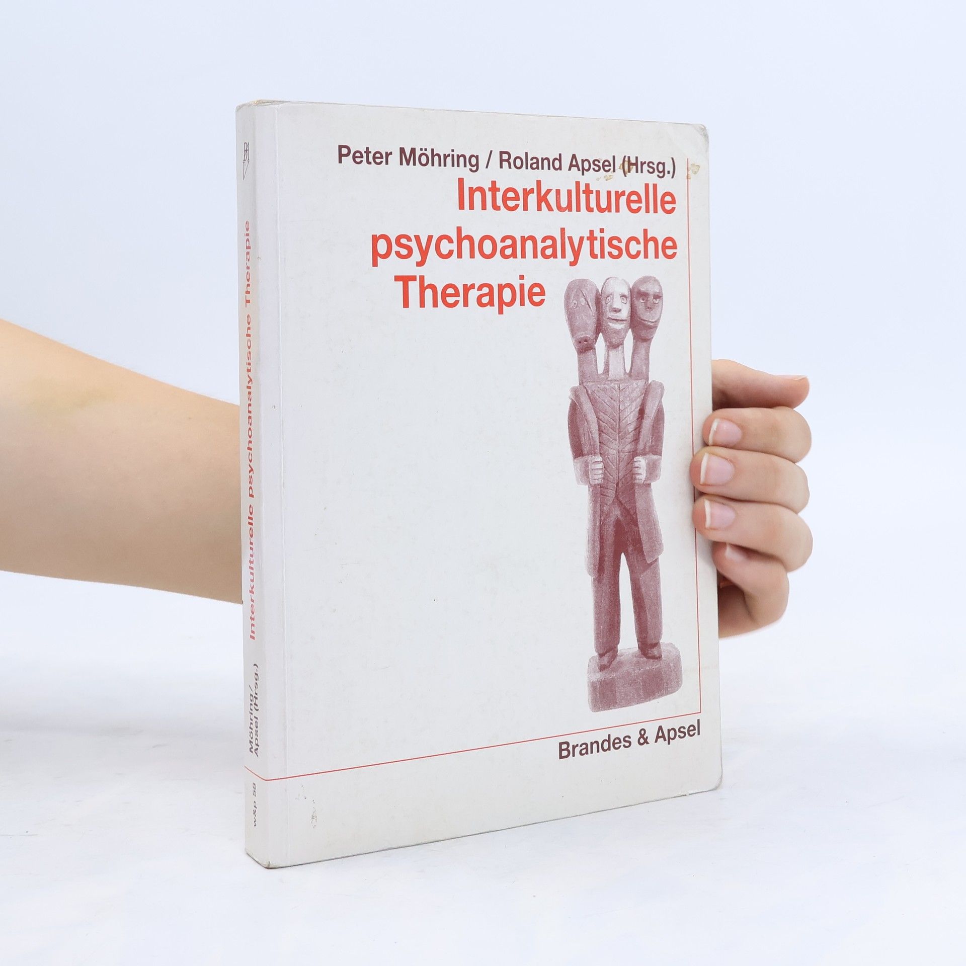 Interkulturelle psychoanalytische Therapie