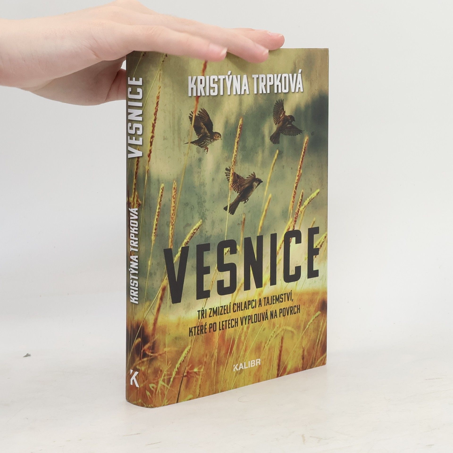 Kristýna Trpková Vesnice