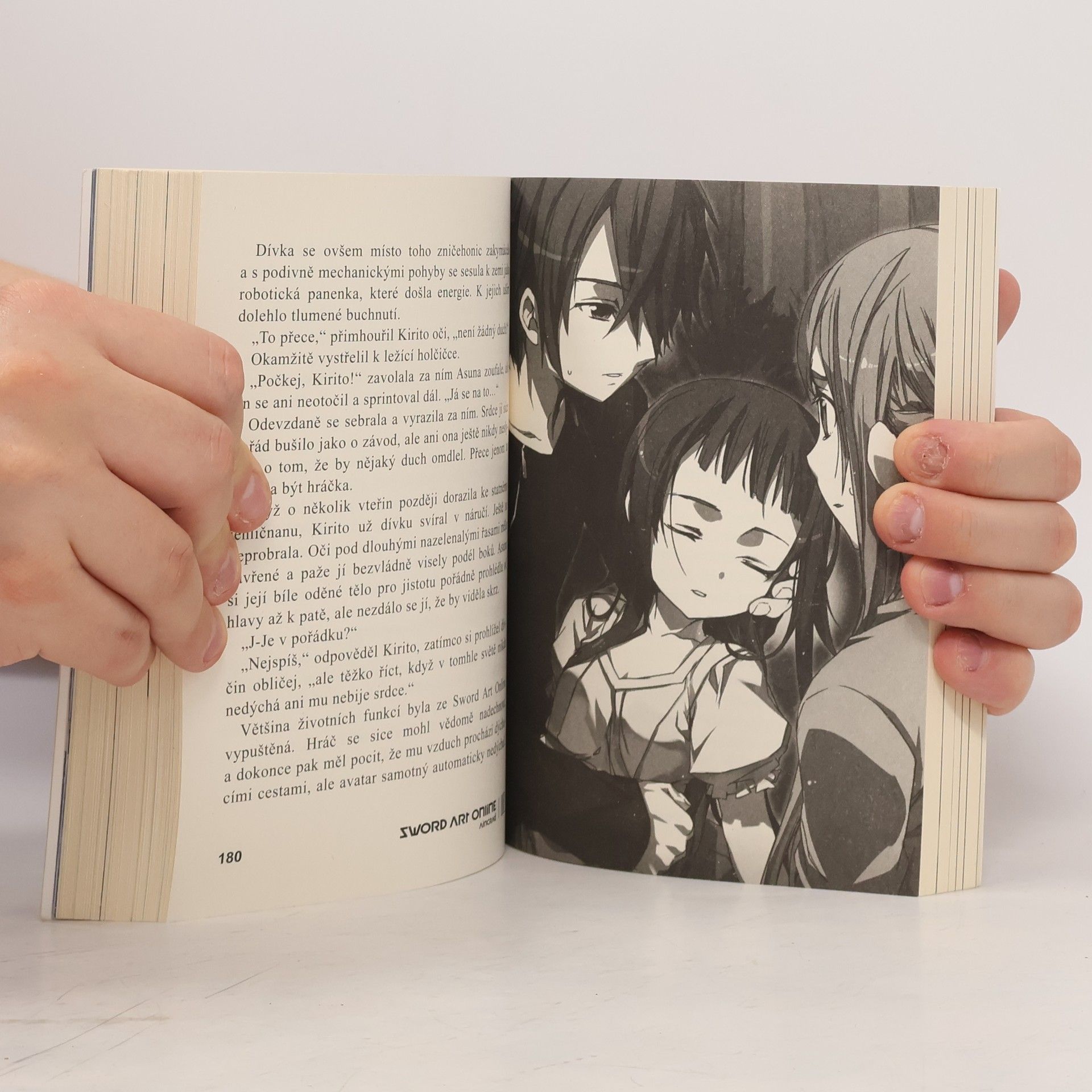 Reki Kawahara Sword Art Online. 002. Aincrad