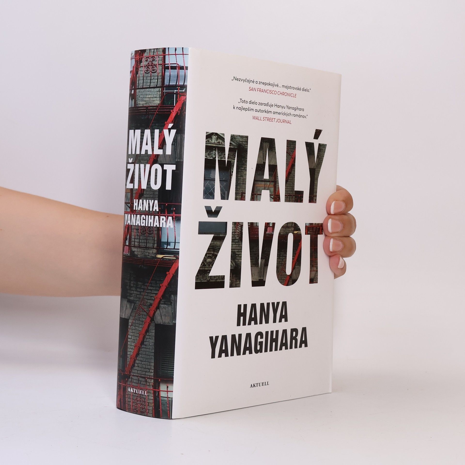 Hanya Yanagihara Malý život