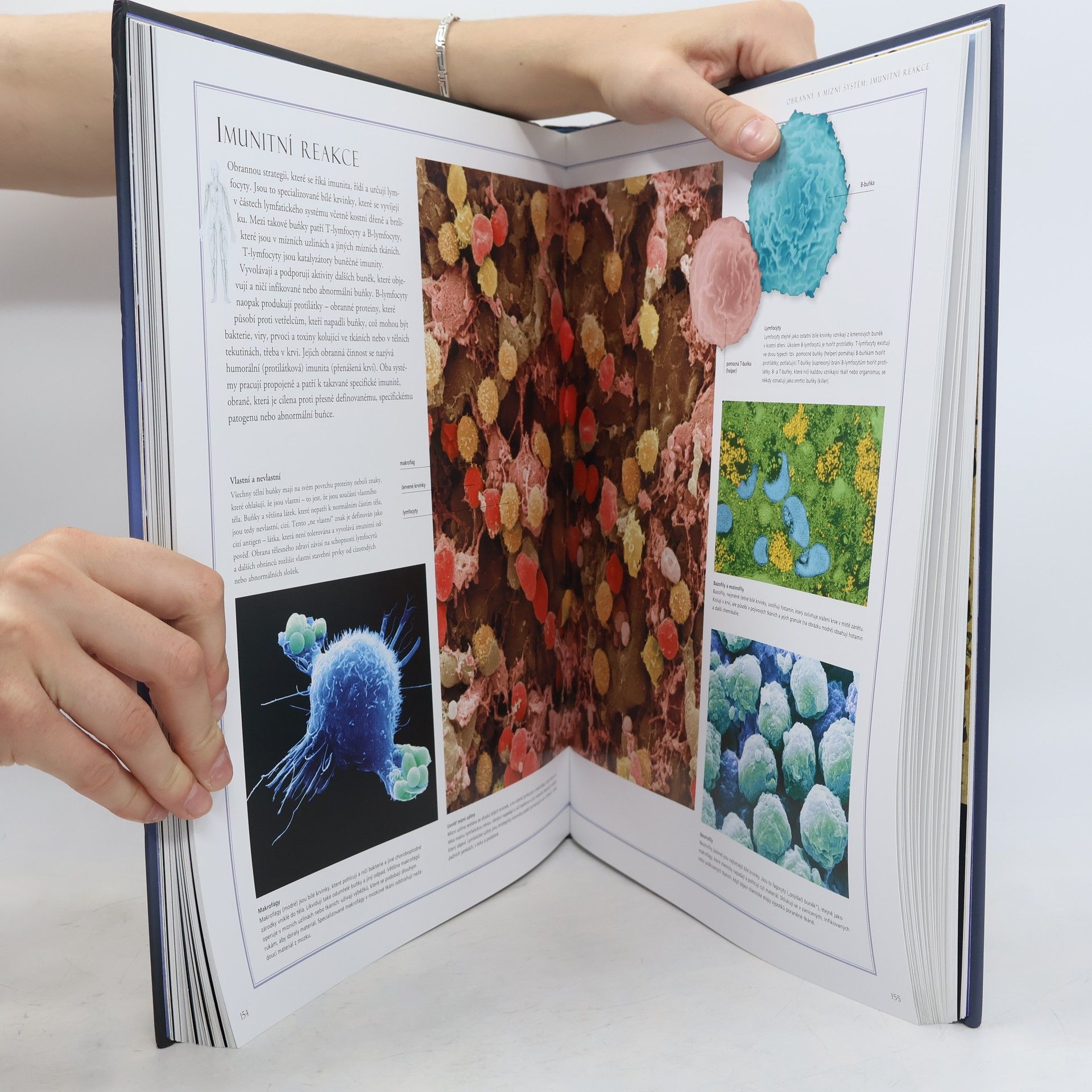 Beverly McMillan Velký ilustrovaný atlas lidského těla