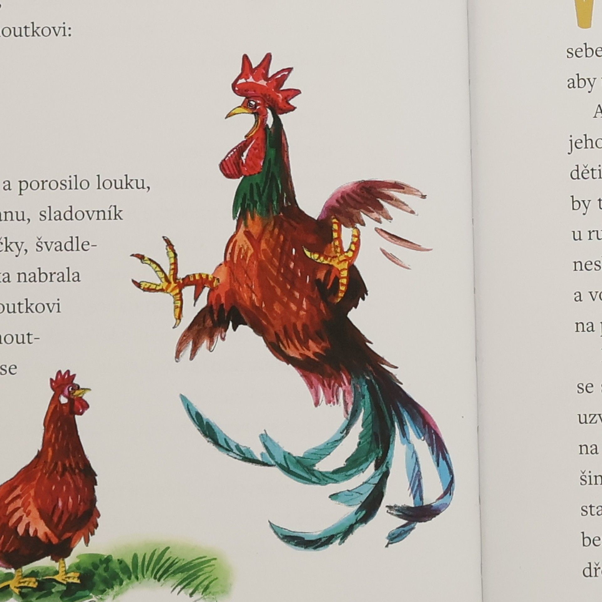 Eva Mrázková České pohádky pro malé děti