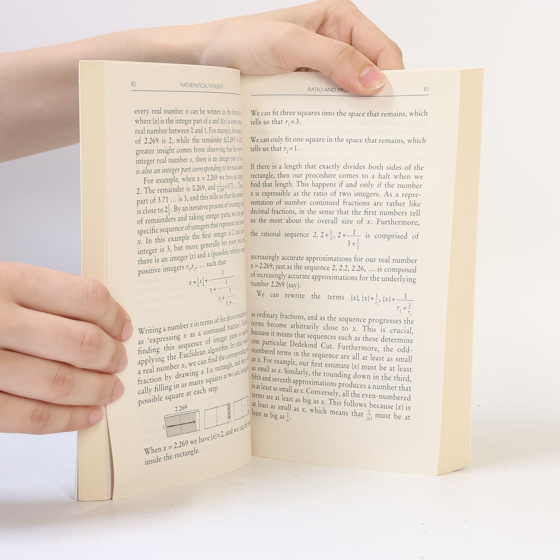 Luke Heaton A Brief History of Mathematical Thought