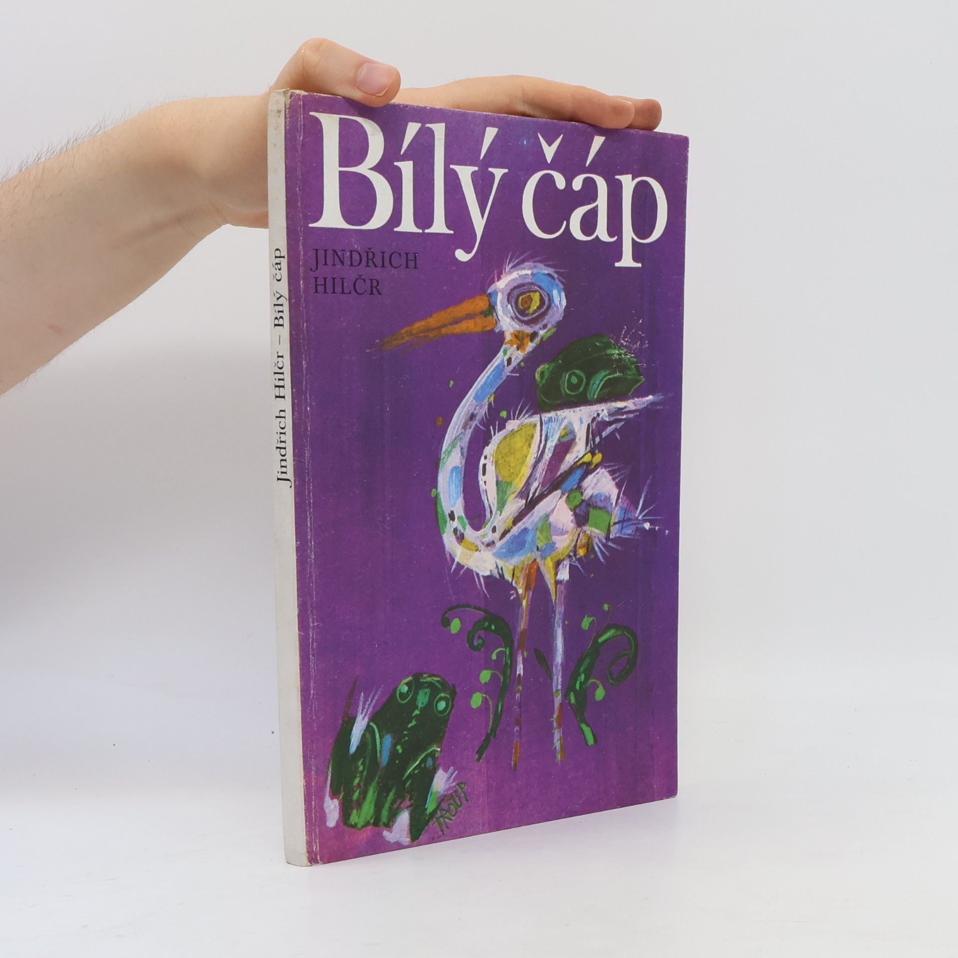 Bílý čáp