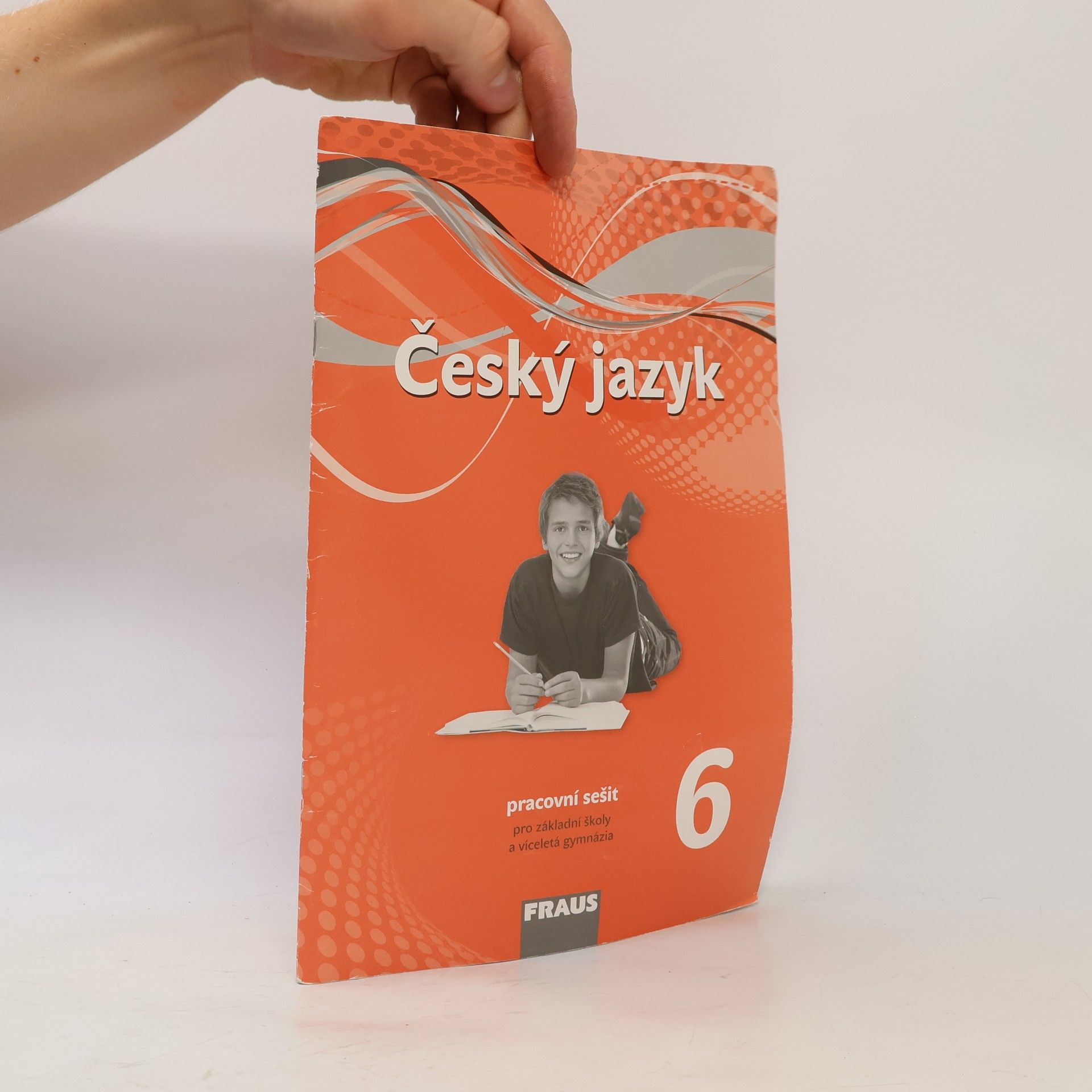 Český jazyk 6 : pracovní sešit : pro základní školy a víceletá gymnázia
