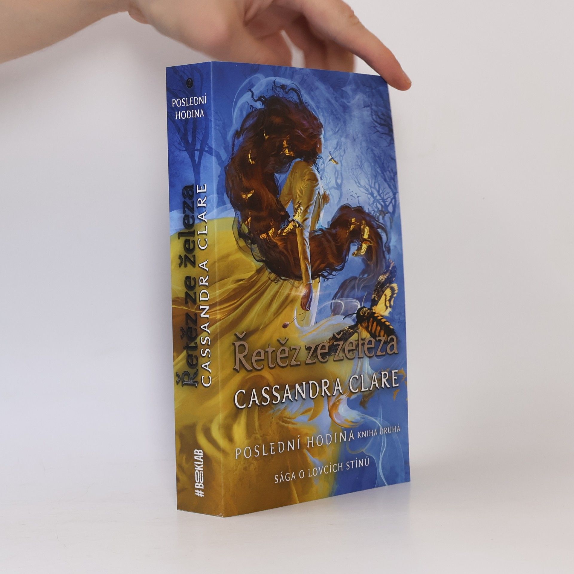 Cassandra Clare Poslední hodina. Kniha druhá, Řetěz ze železa