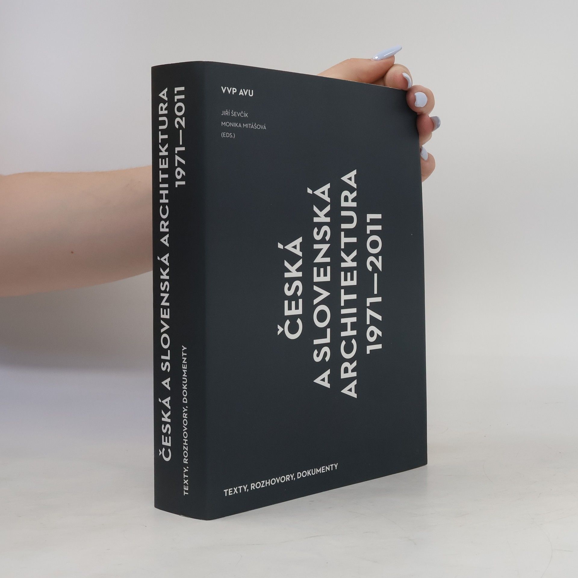 Česká a slovenská architektura 1971-2011. Texty, rozhovory, dokumenty