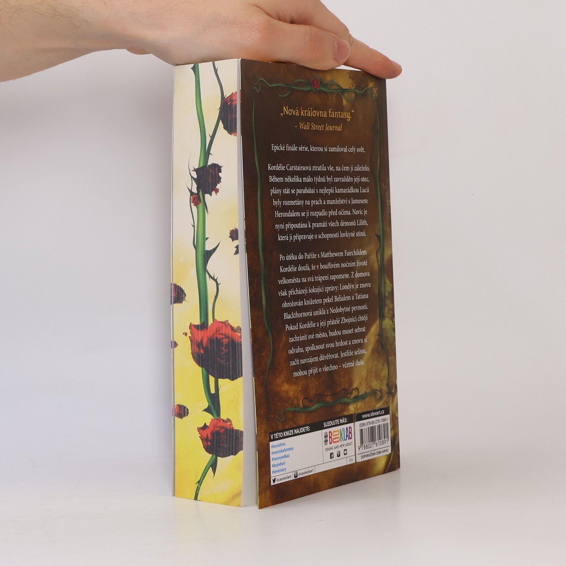 Cassandra Clare Poslední hodina 3. Řetěz z trnů