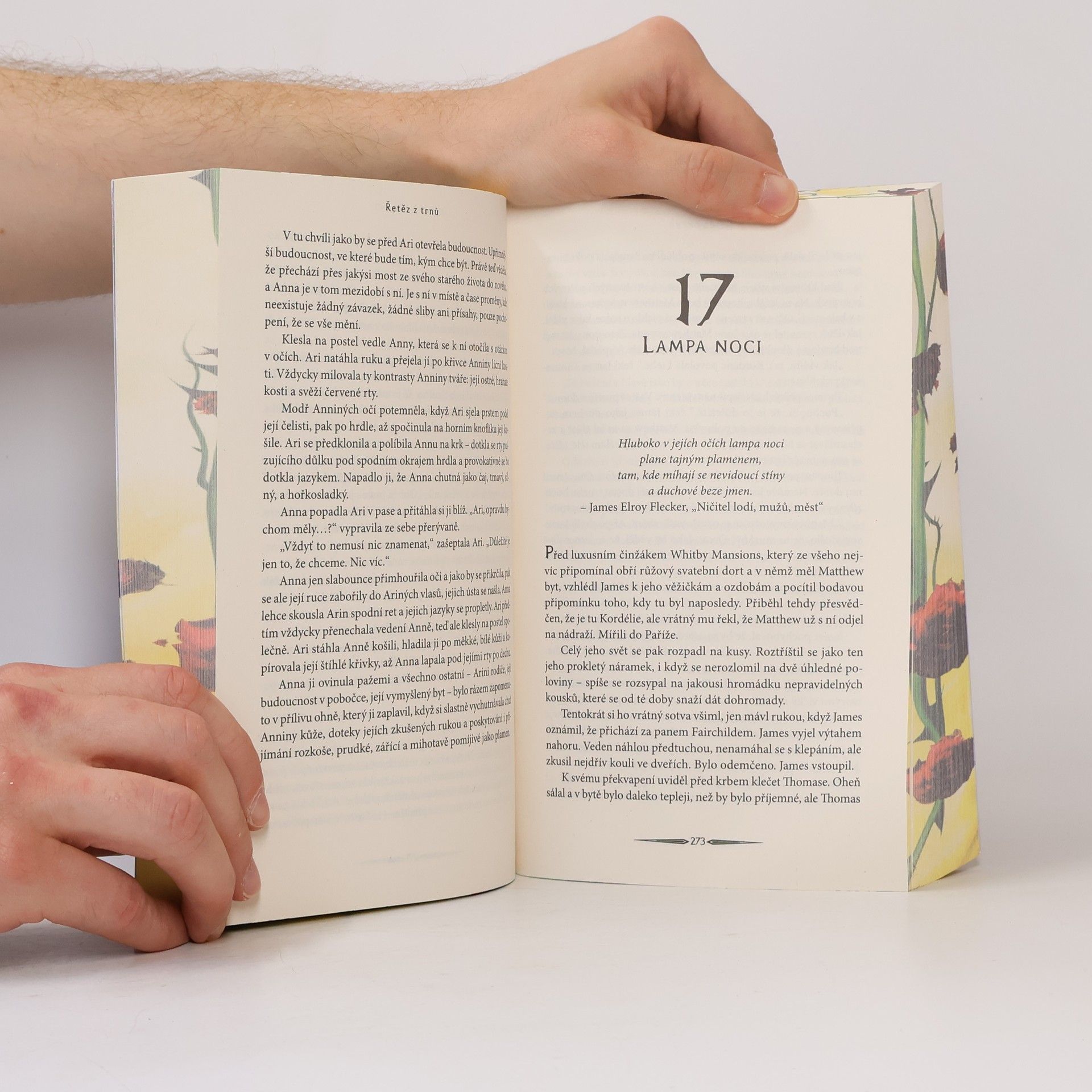 Cassandra Clare Poslední hodina 3. Řetěz z trnů