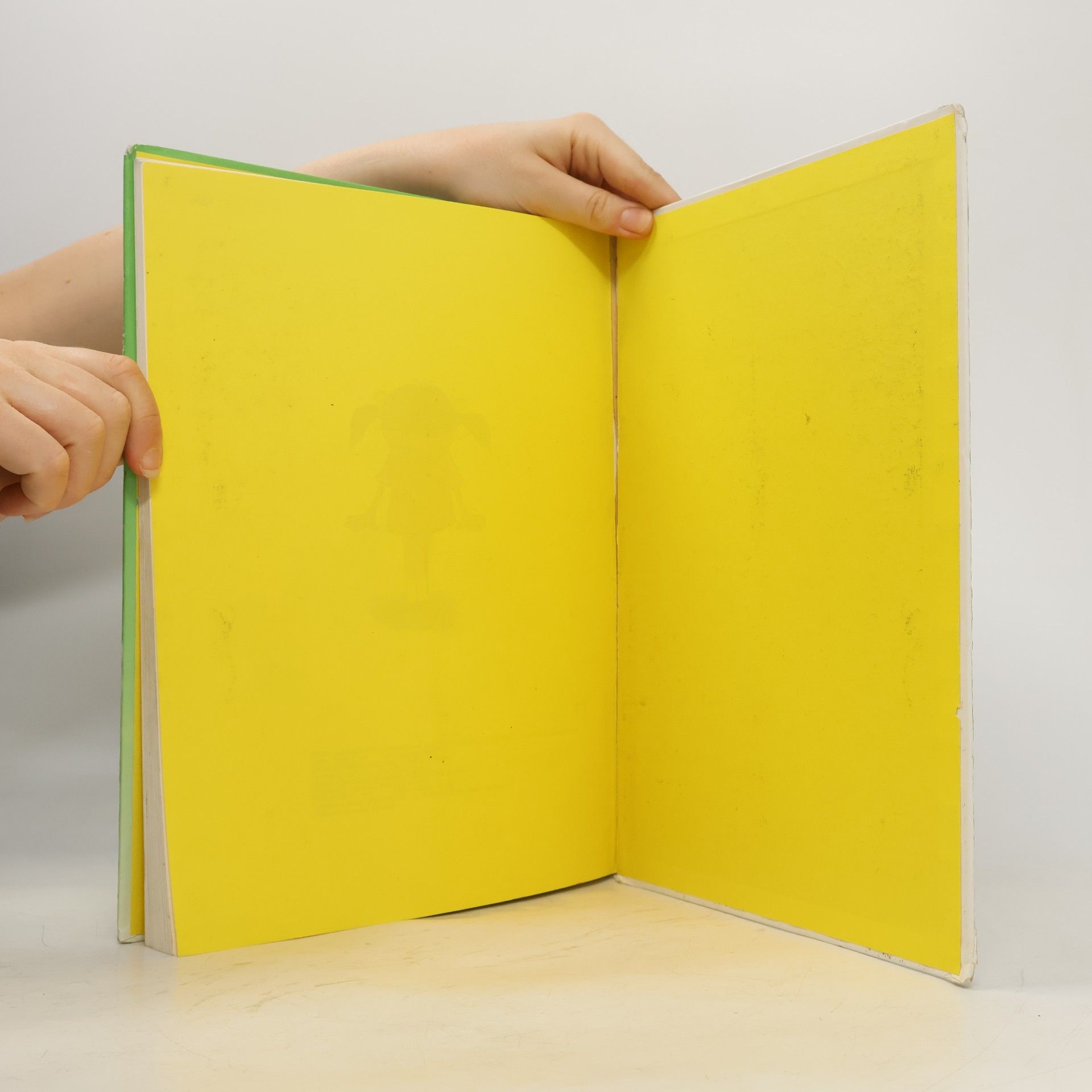 Milan Svoboda Obrázková knížka. Bilderbuch