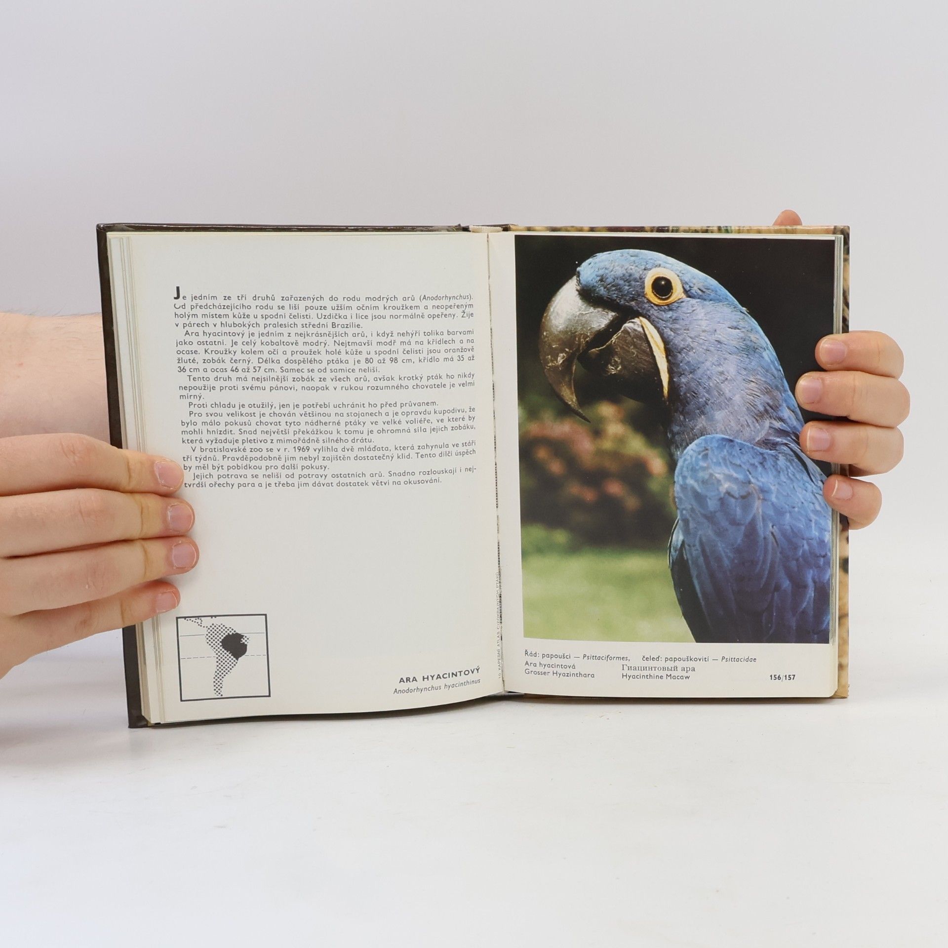 Zdeněk Veger Kapesní atlas cizokrajných ptáků