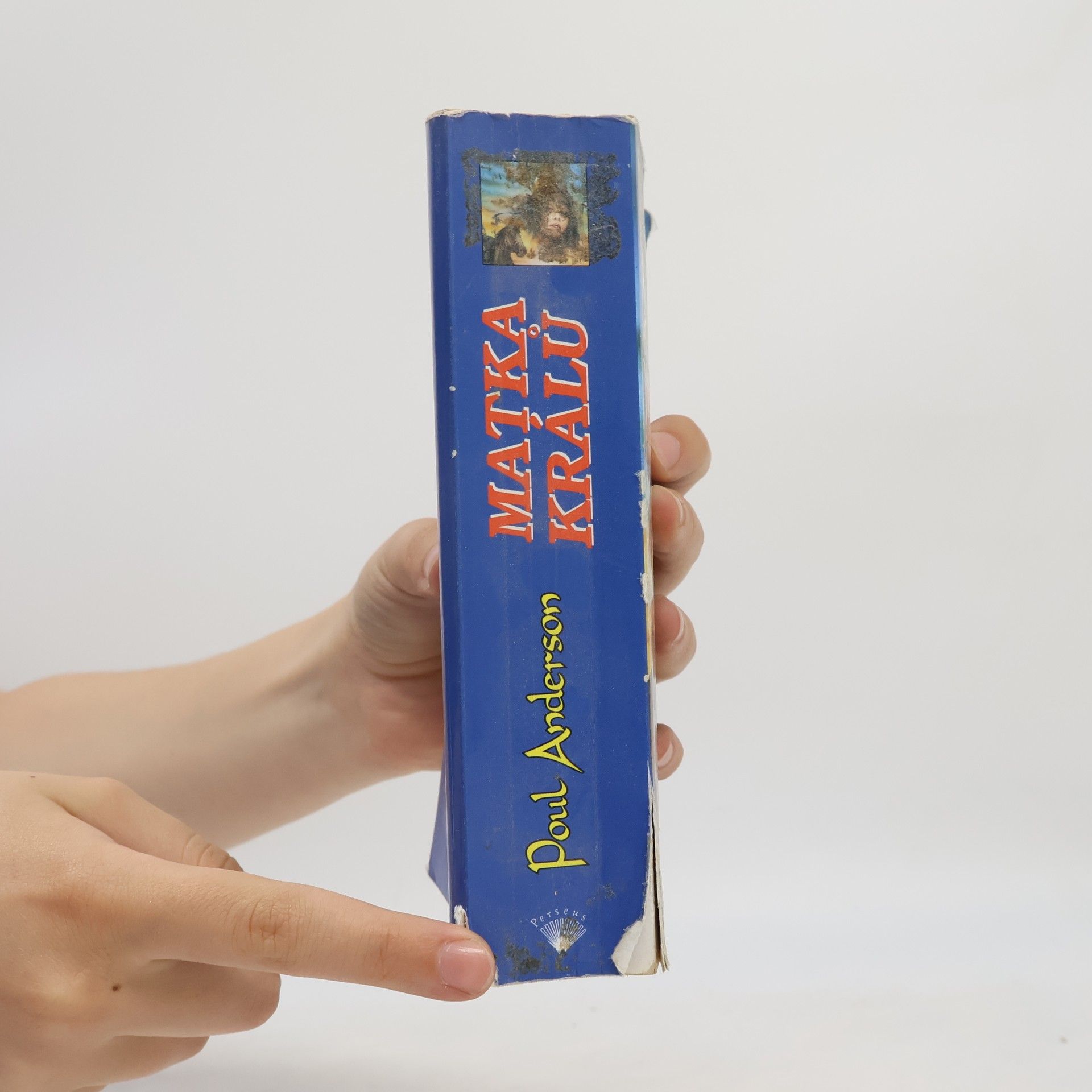 Poul Anderson Matka králů