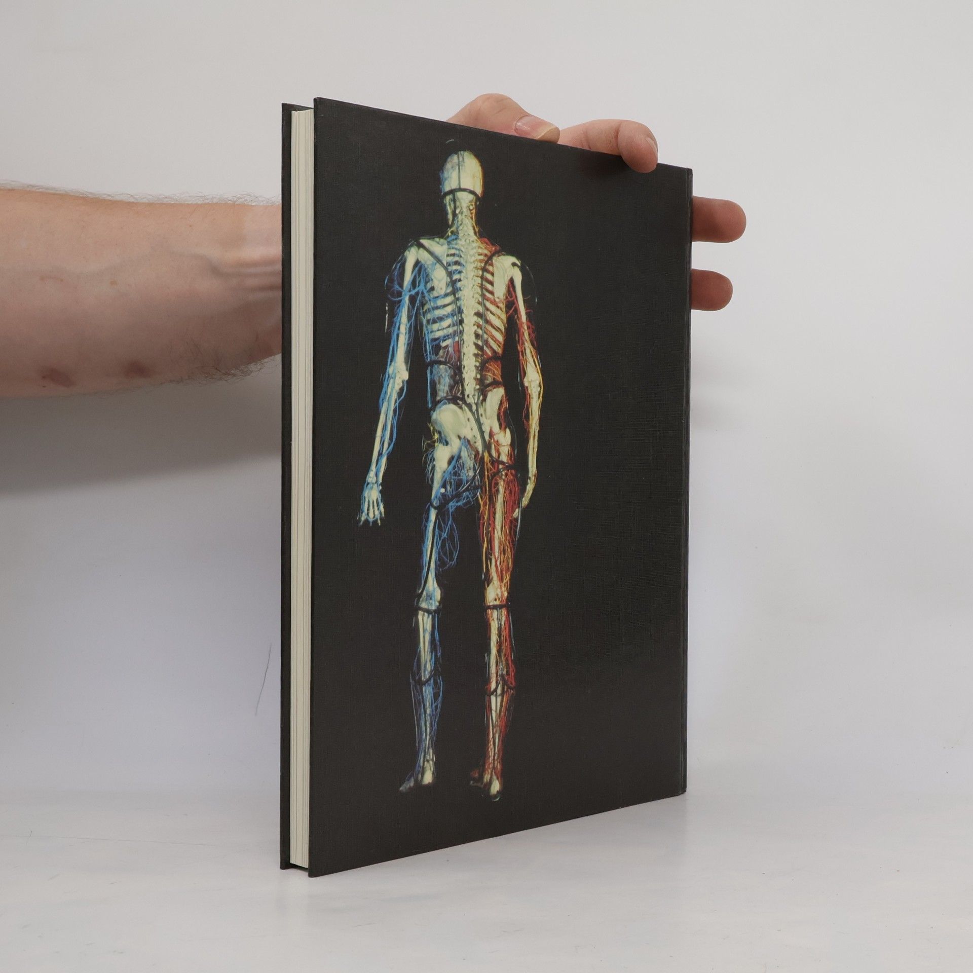 Johannes Petrus Schade Anatomischer Atlas des Menschen