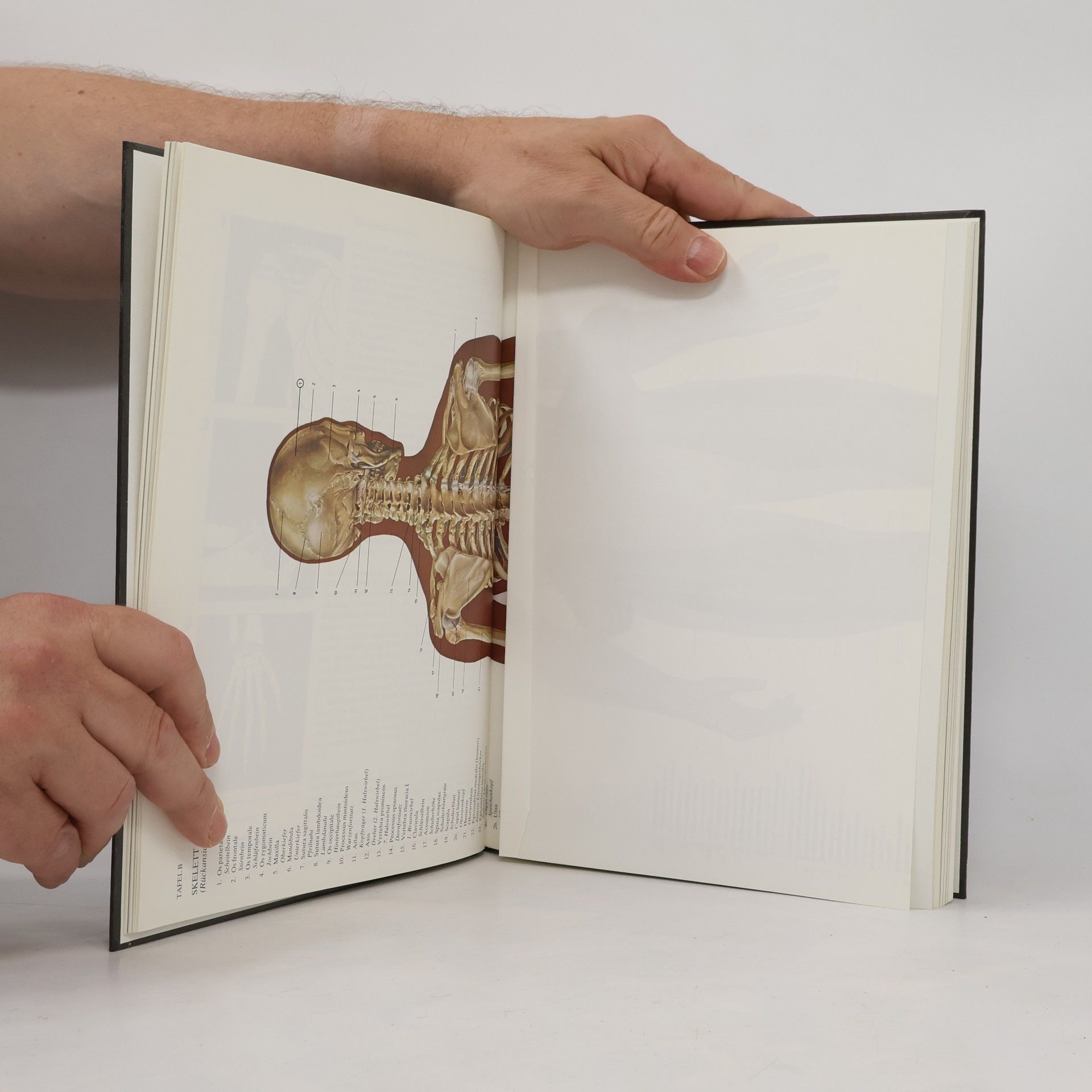 Johannes Petrus Schade Anatomischer Atlas des Menschen