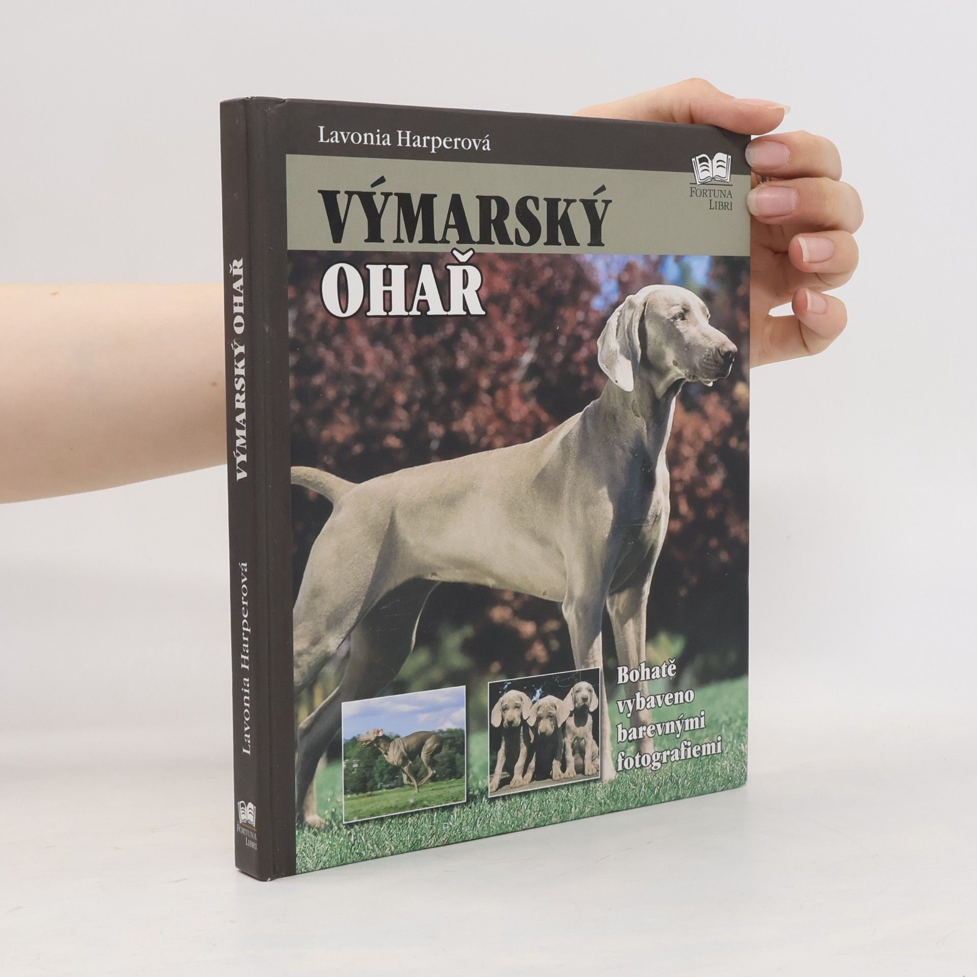 Lavonia Harper Výmarský ohař