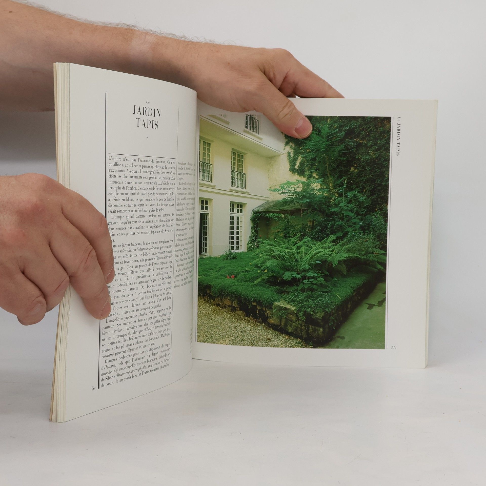 Roy Strong L'art des petits jardins