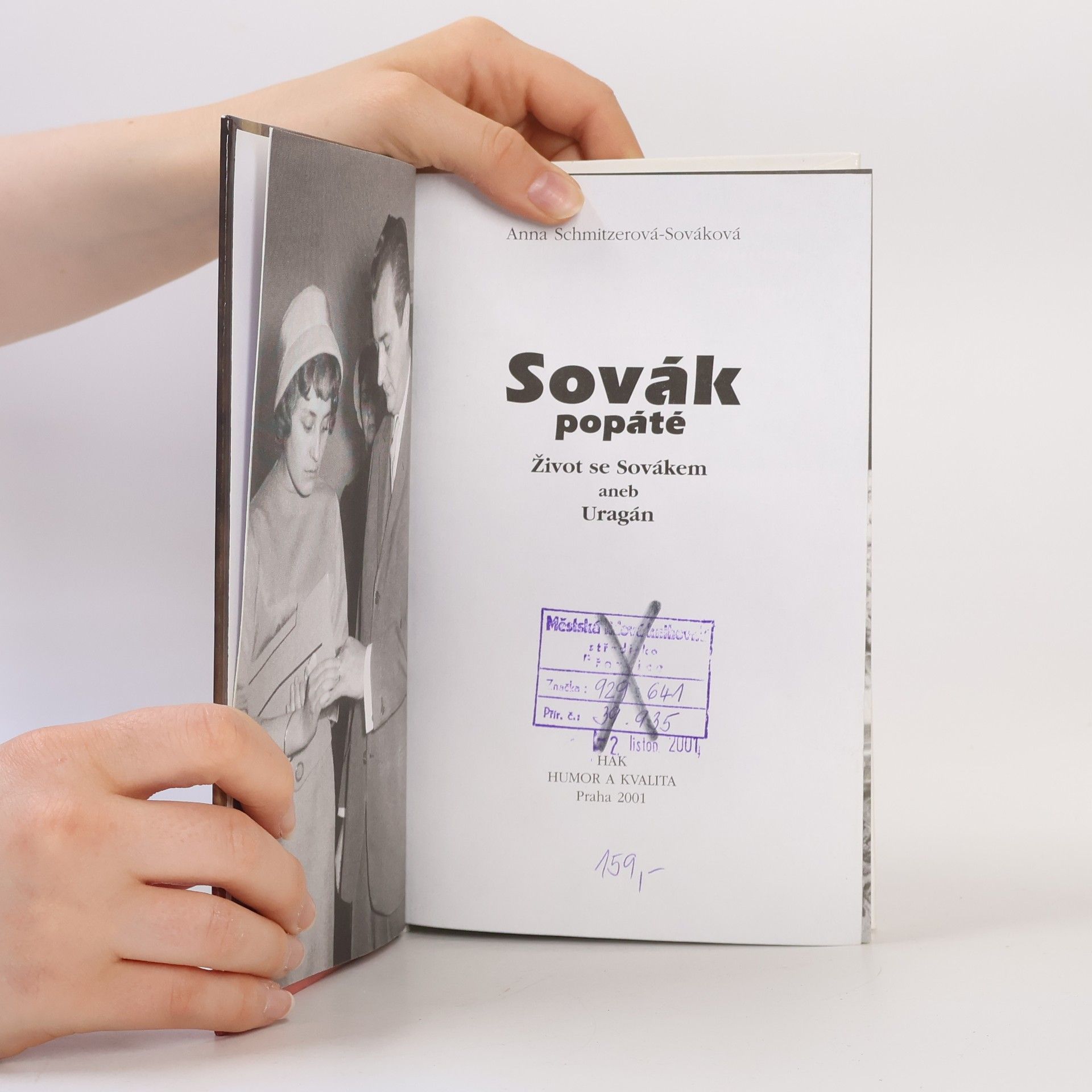 Anna Sováková Sovák popáté. Život se Sovákem, aneb, Uragán