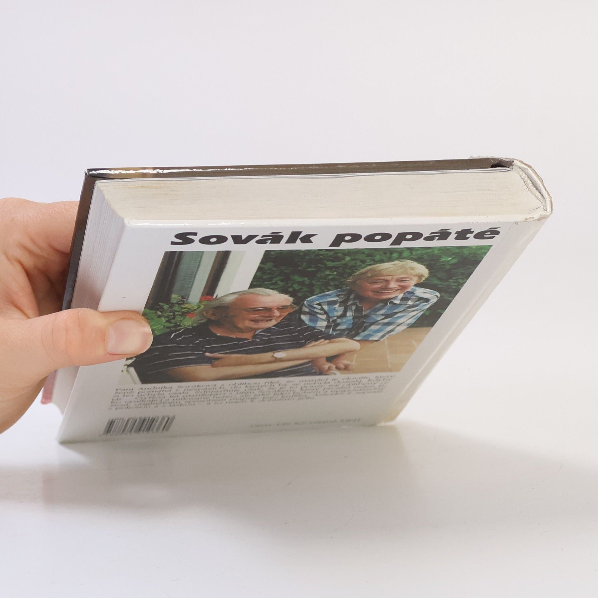 Anna Sováková Sovák popáté. Život se Sovákem, aneb, Uragán