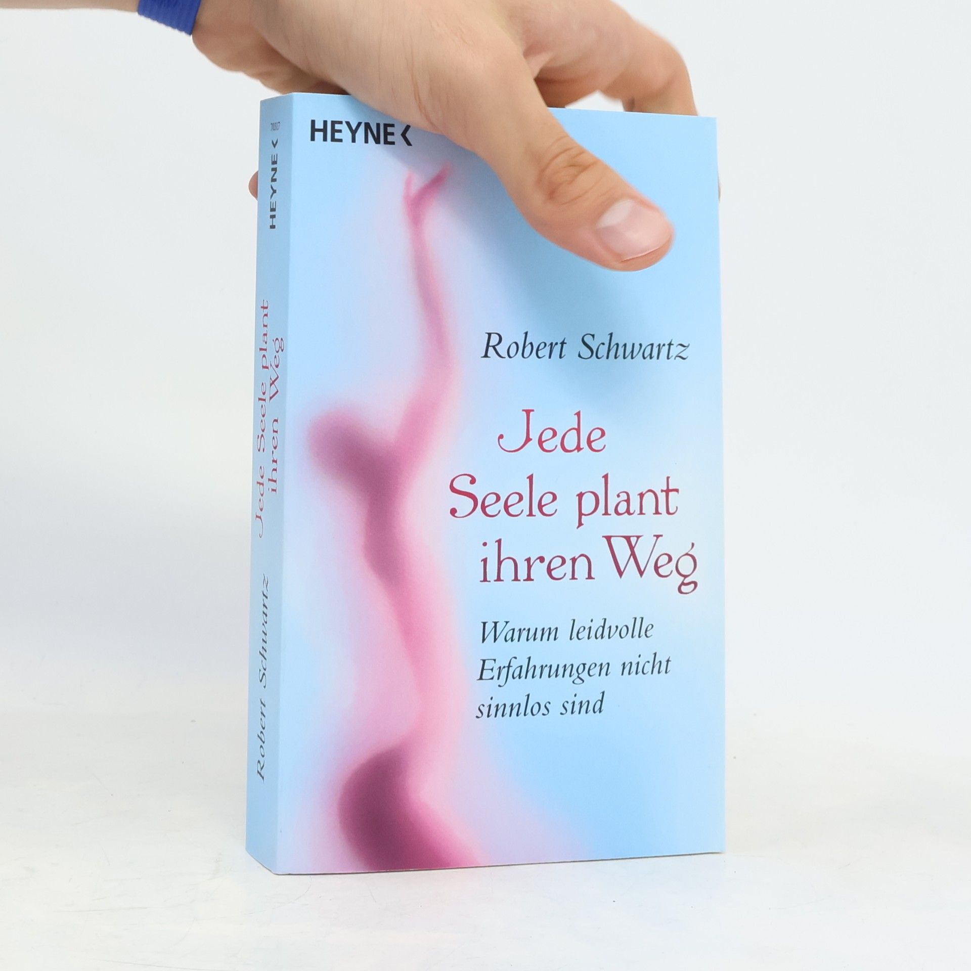 Robert Schwartz Jede Seele plant ihren Weg