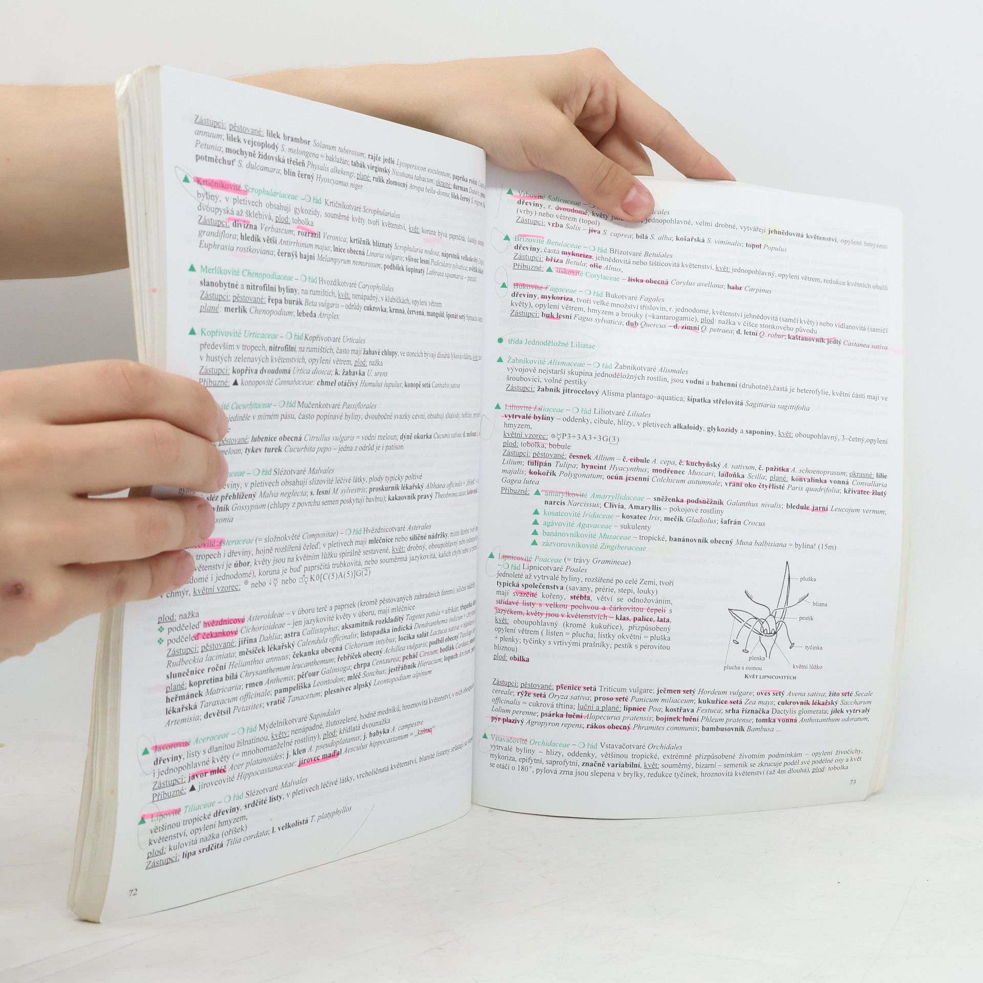 Hana Hančová Biologie I. v kostce : [obecná biologie, mikrobiologie, botanika, mykologie, ekologie, genetika] : pro střední školy