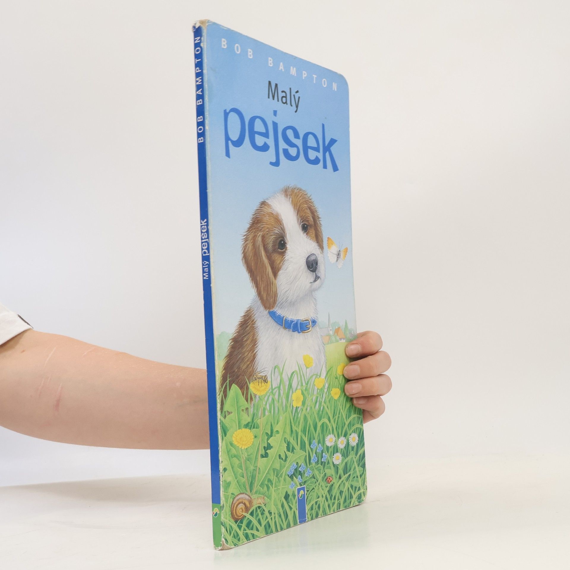 Malý pejsek