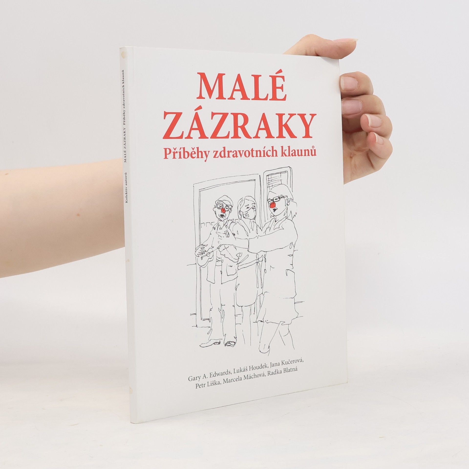 Autorenkollektiv Malé zázraky. Příběhy zdravotních klaunů