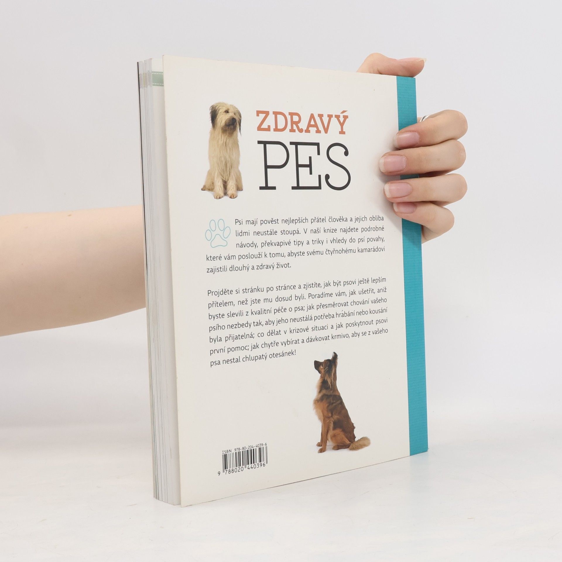 Arden Moore Zdravý pes: Tipy & triky jak zajistit vašemu psovi delší, zdravější a šťastnější život