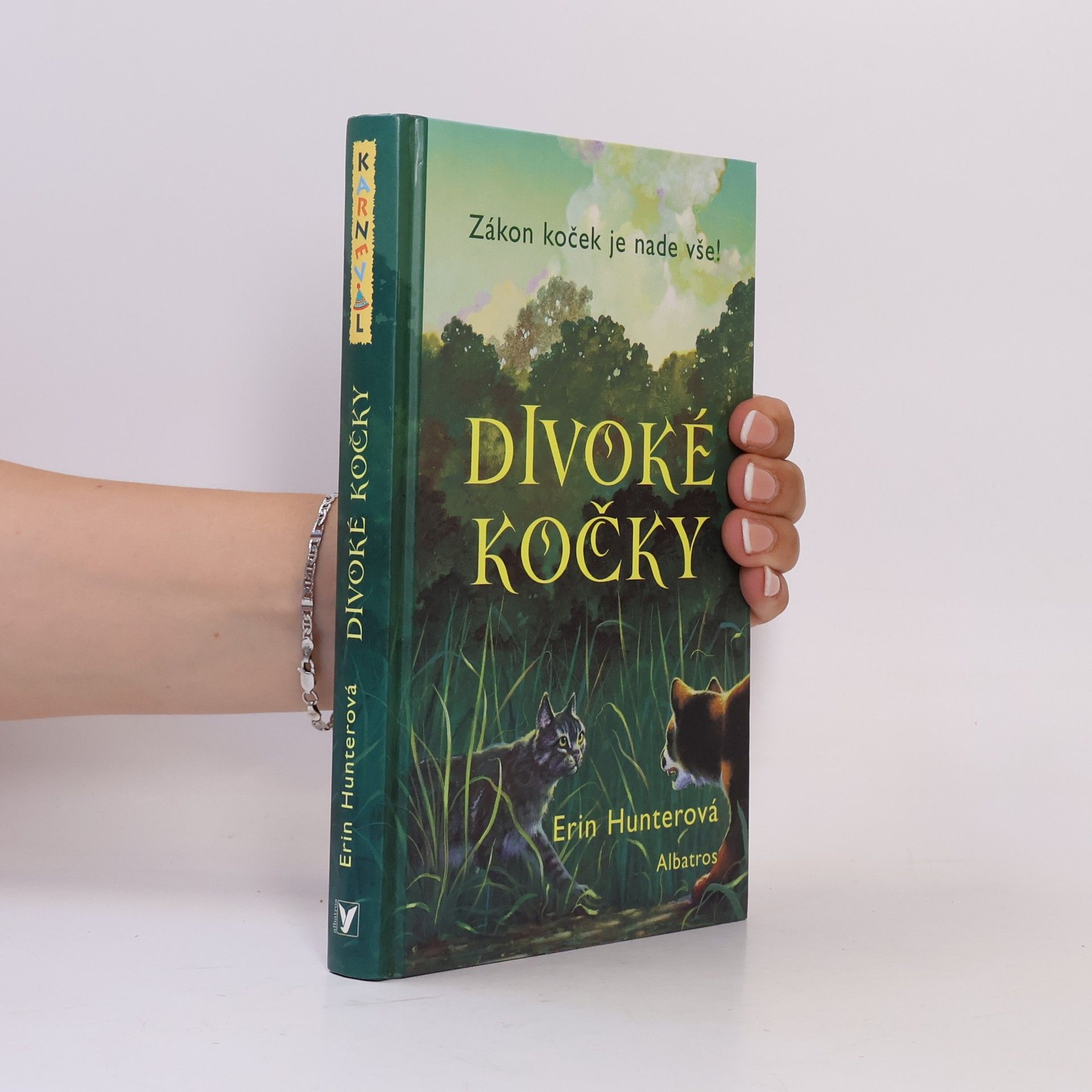 Erin Hunter Divoké kočky
