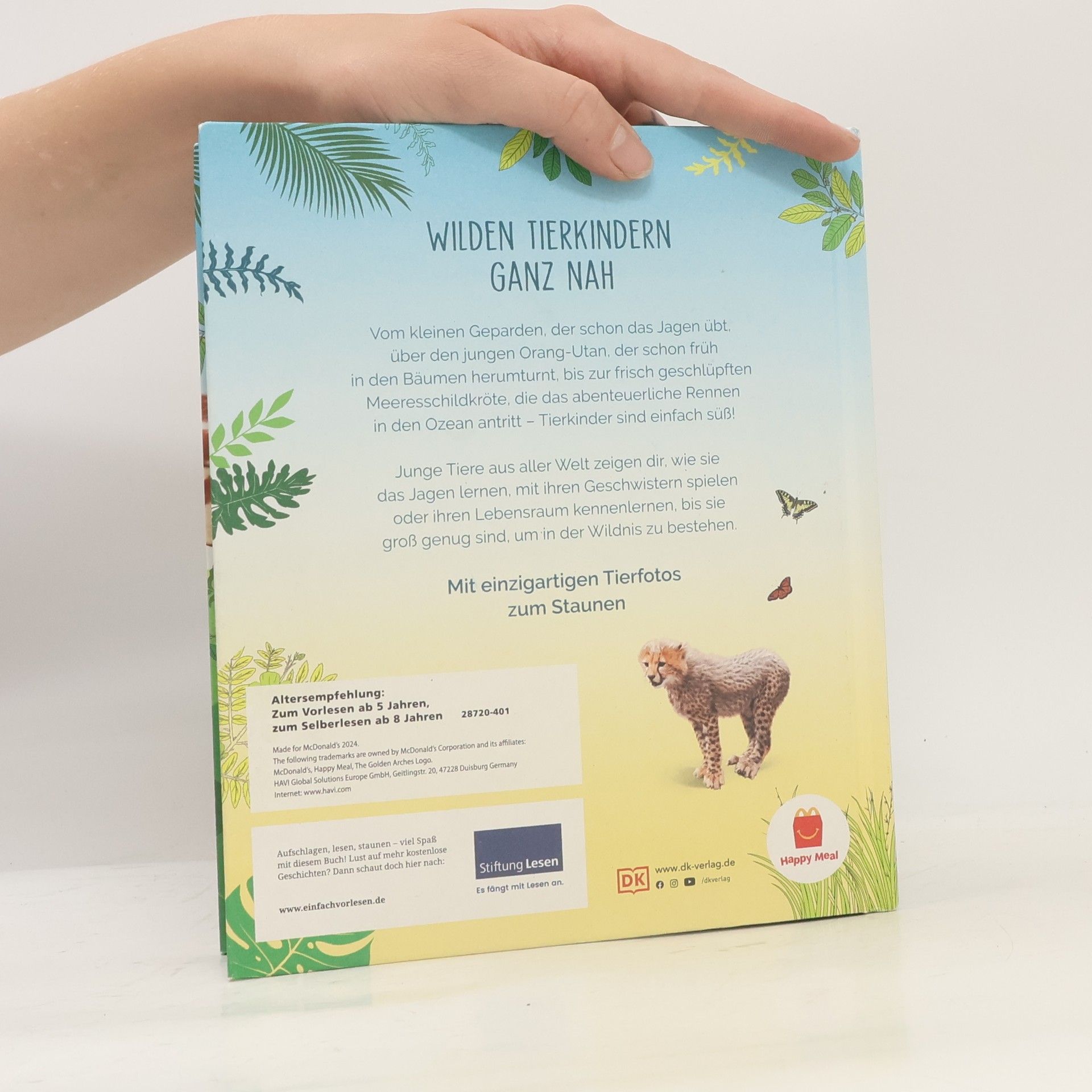 Autorenkollektiv Tierkinde der Wildnis