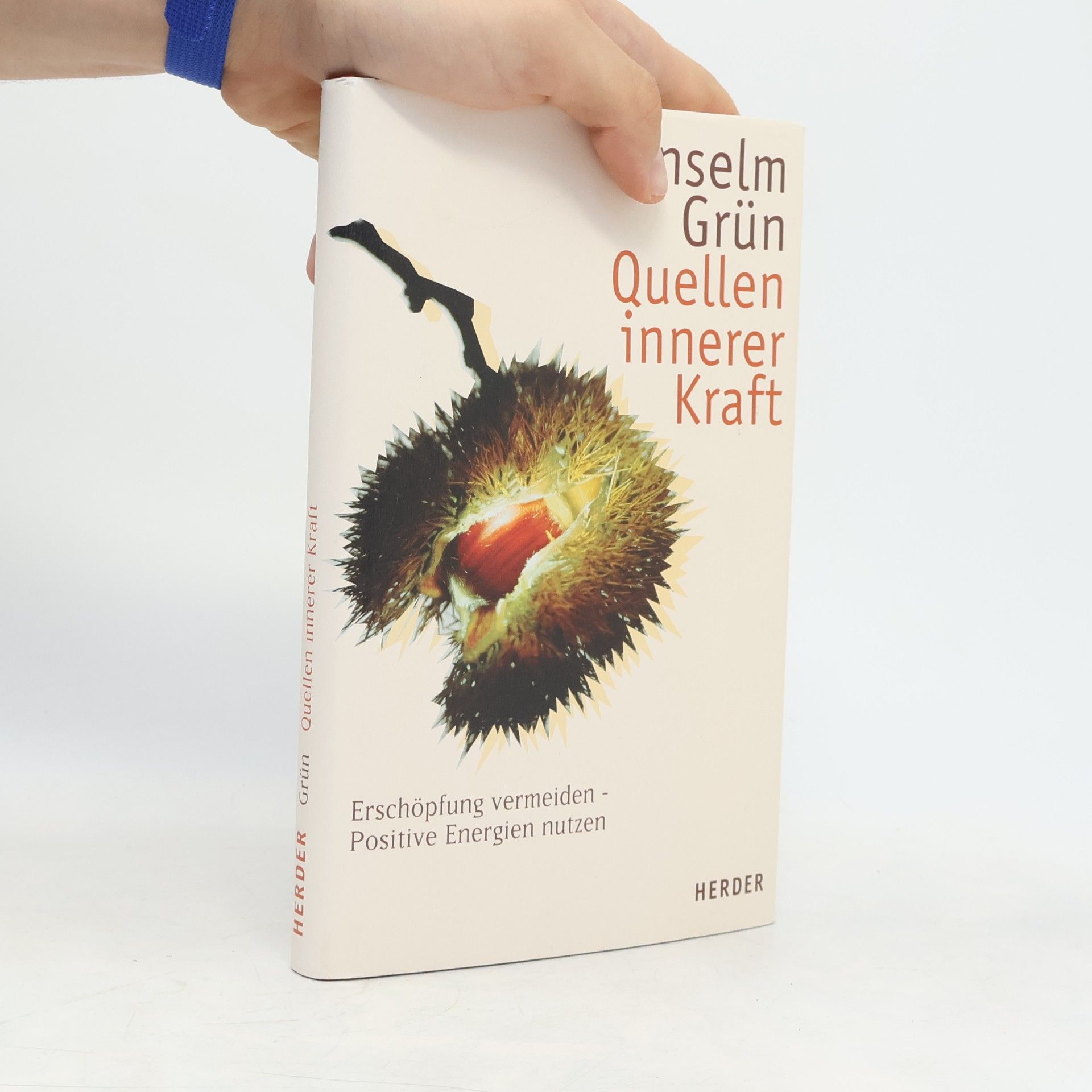 Anselm Grün Quellen innerer Kraft