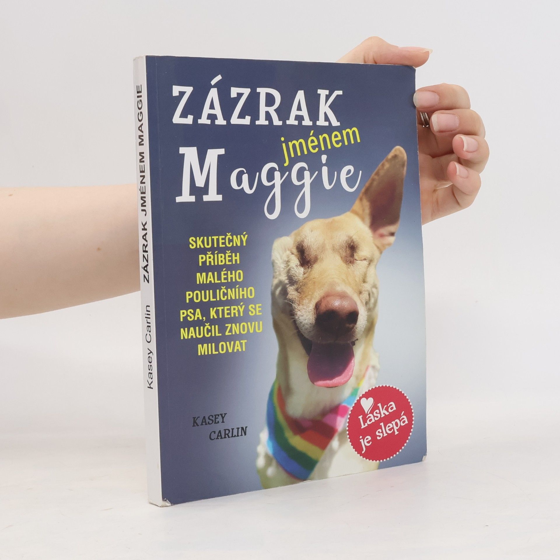 Kasey Carlin Zázrak jménem Maggie (se záložkou)