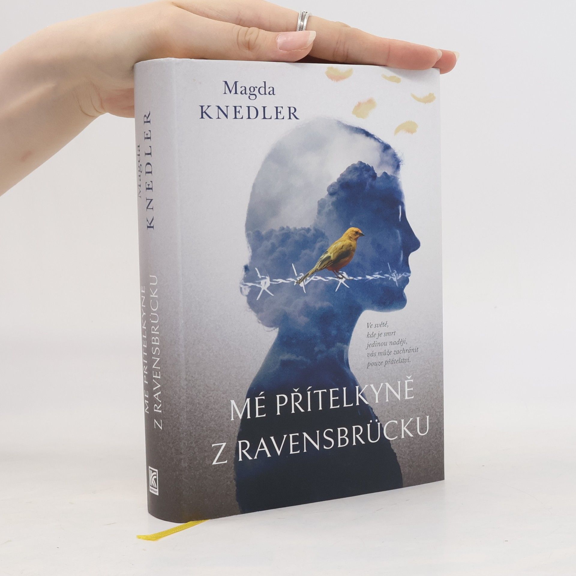 Magdalena Knedler Mé přítelkyně z Ravensbrücku