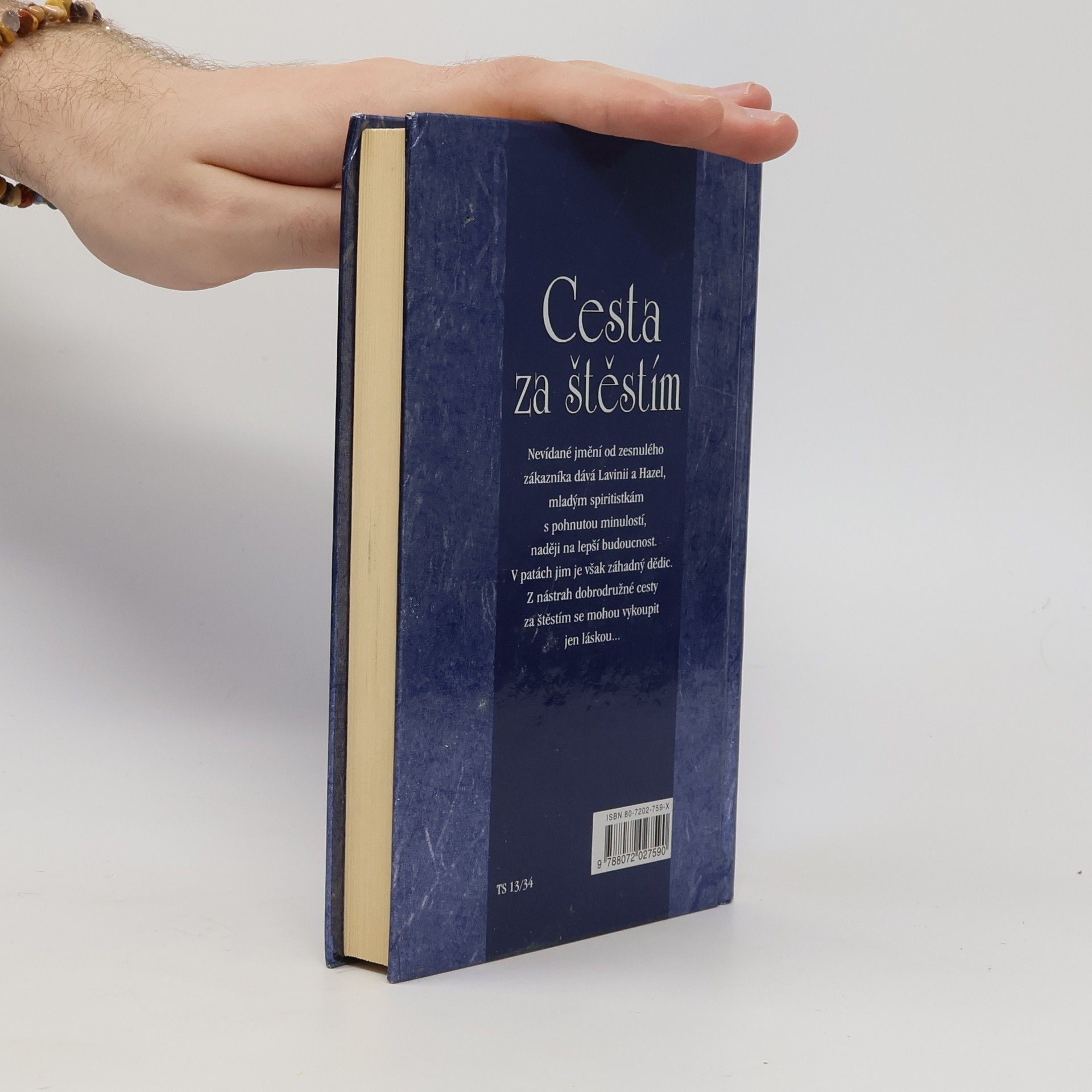 Meagan McKinney Cesta za štěstím