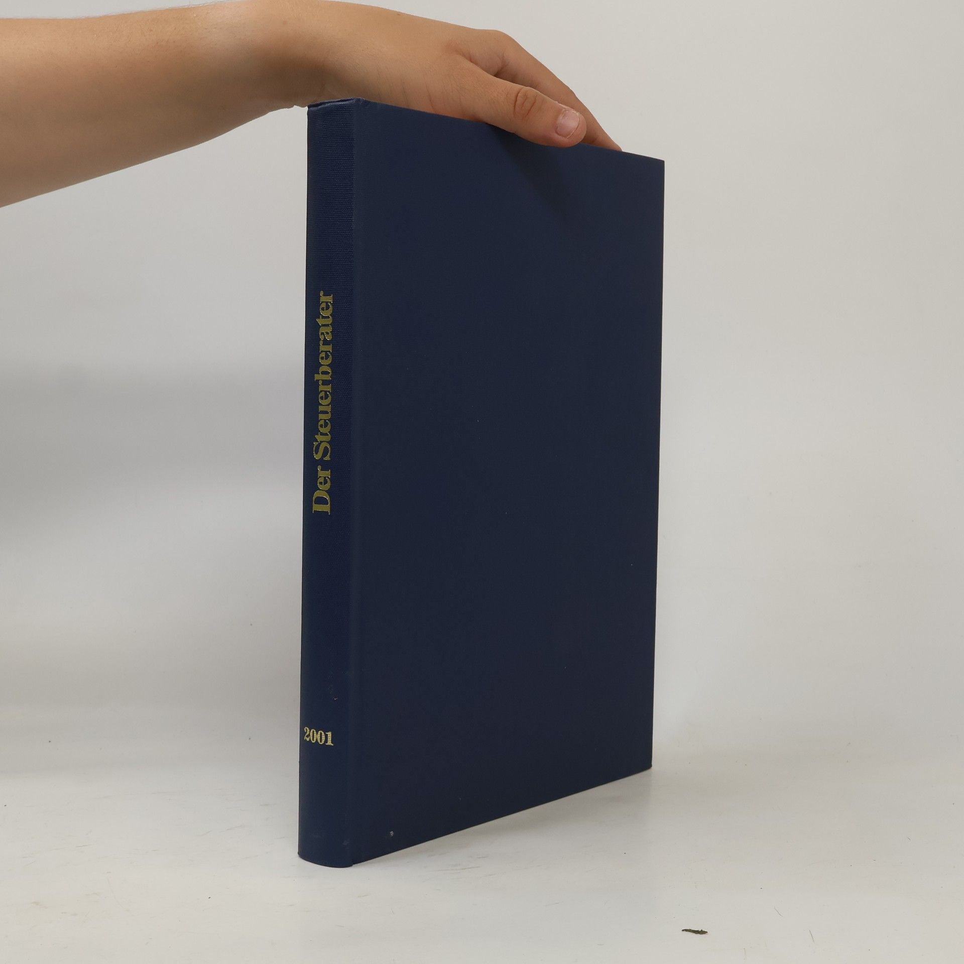 Autorenkollektiv Der Steuerberater 2001