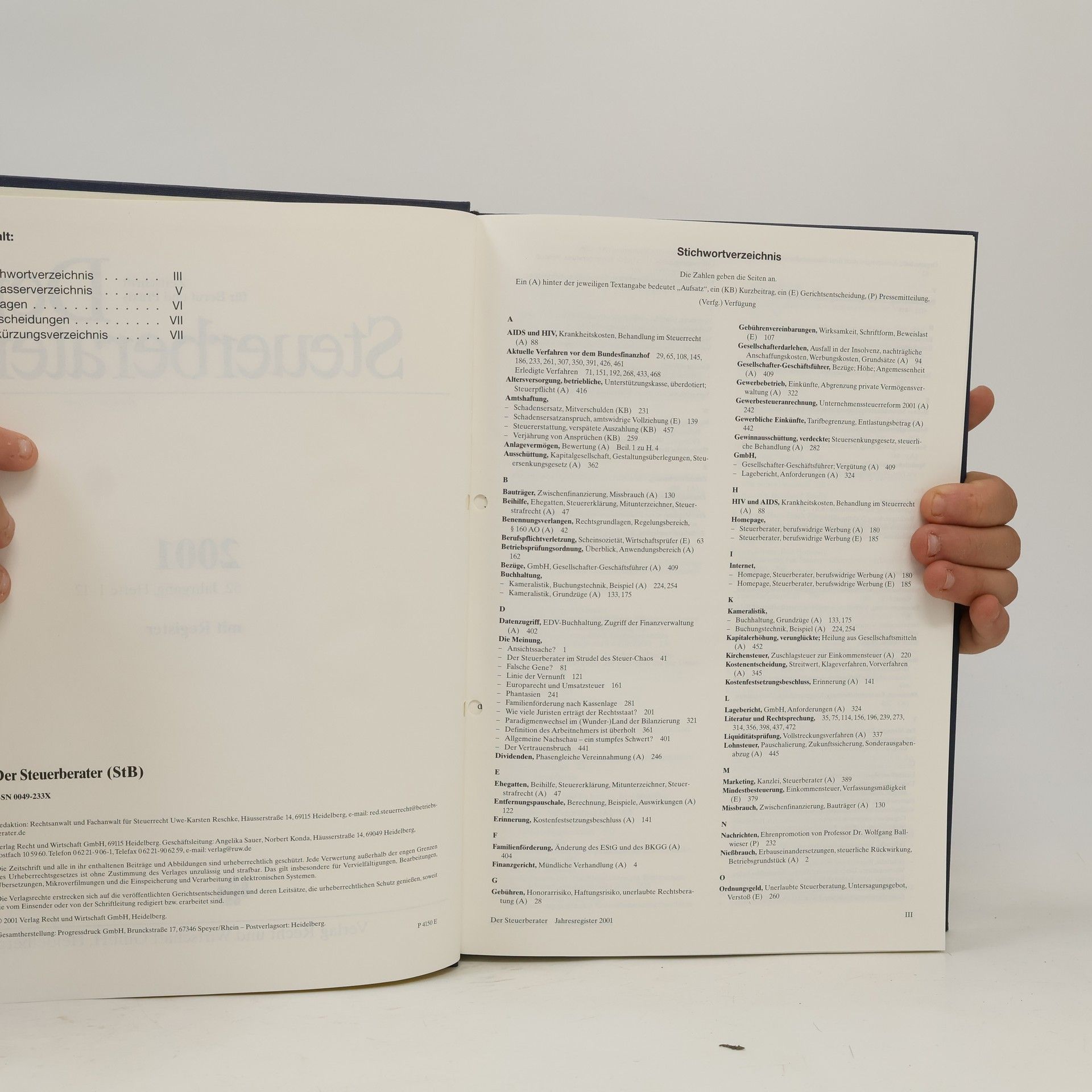Autorenkollektiv Der Steuerberater 2001