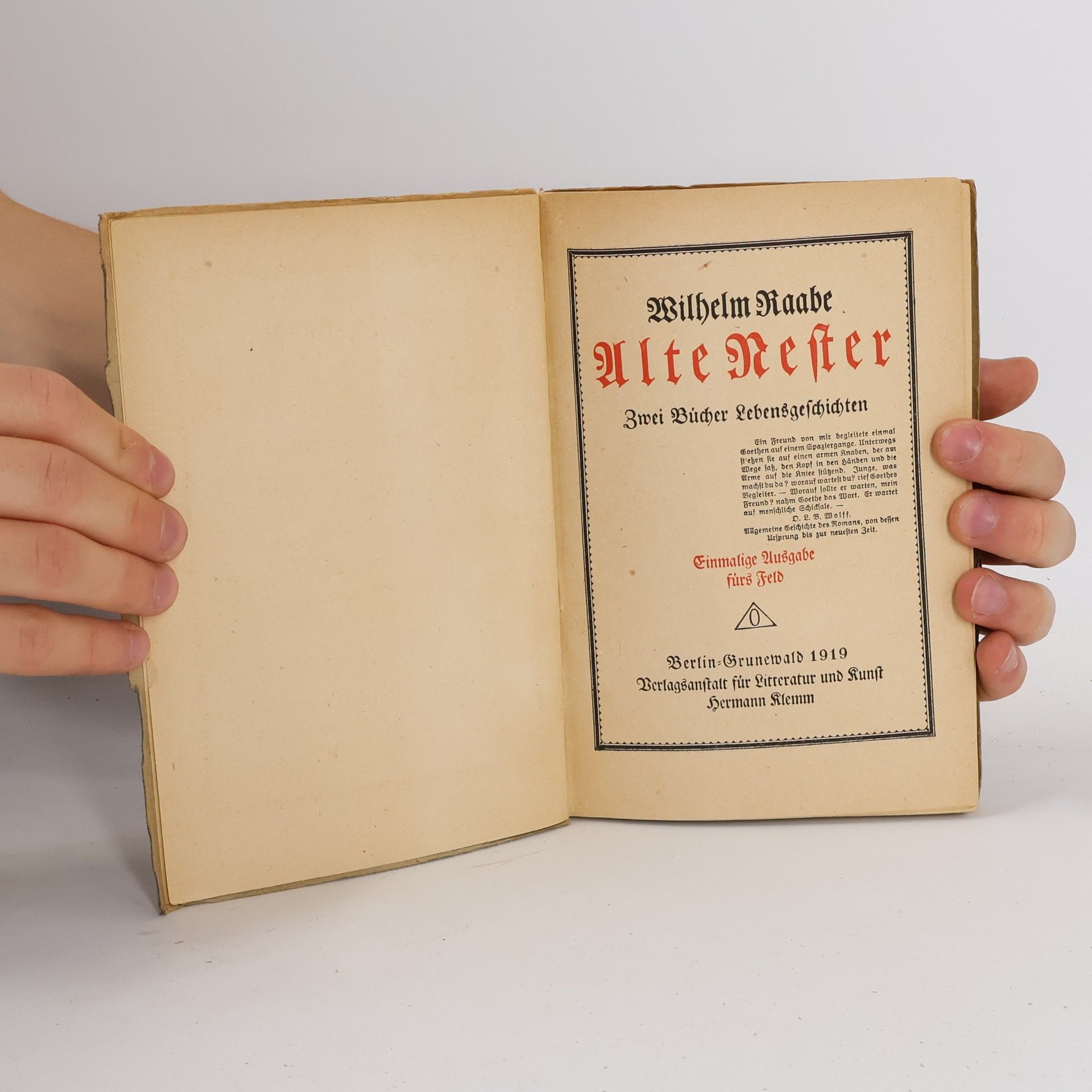 Wilhelm Raab Alte Nester