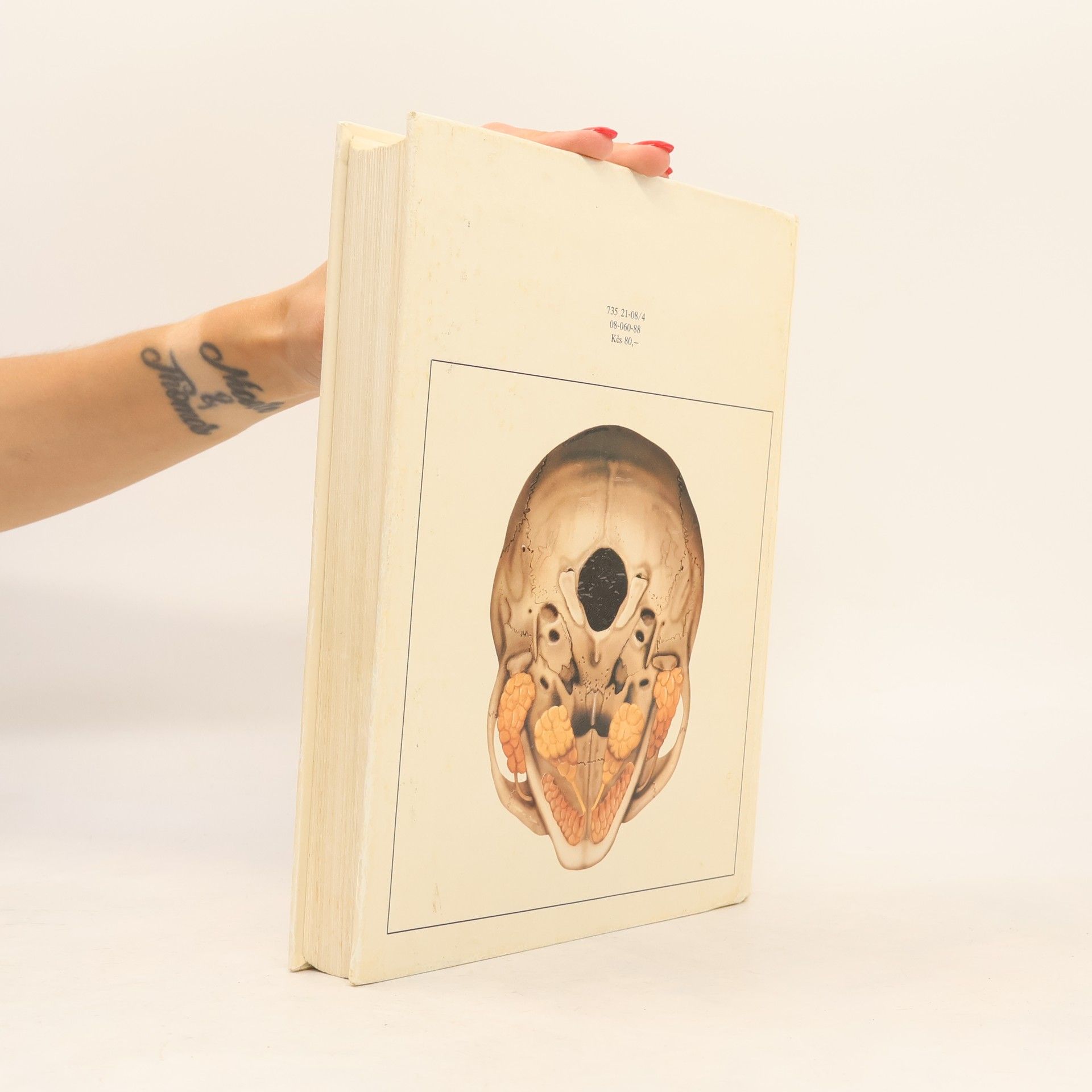 Radomír Čihák Anatomie 2