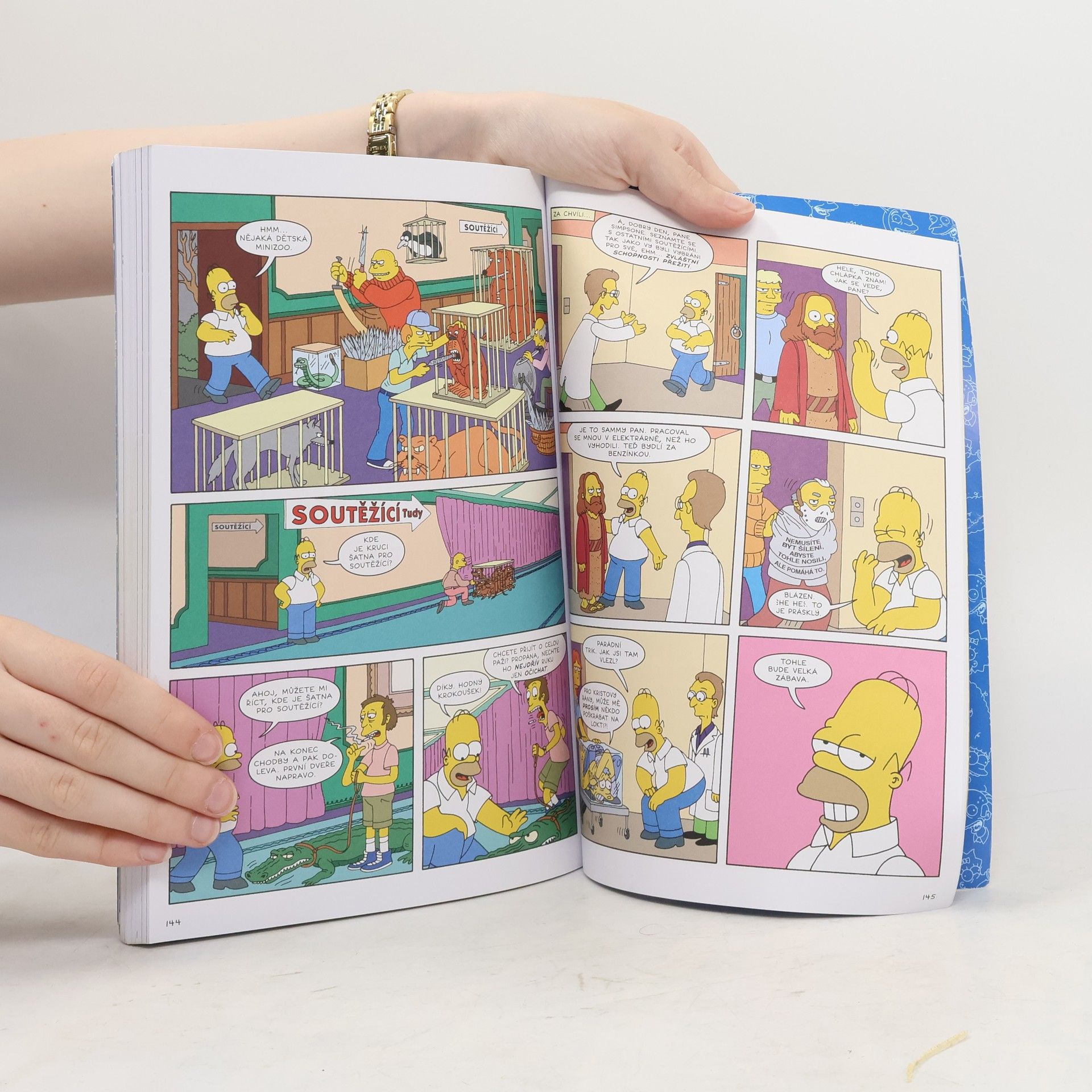 Matt Groening Simpsonovi, Komiksové šílenství