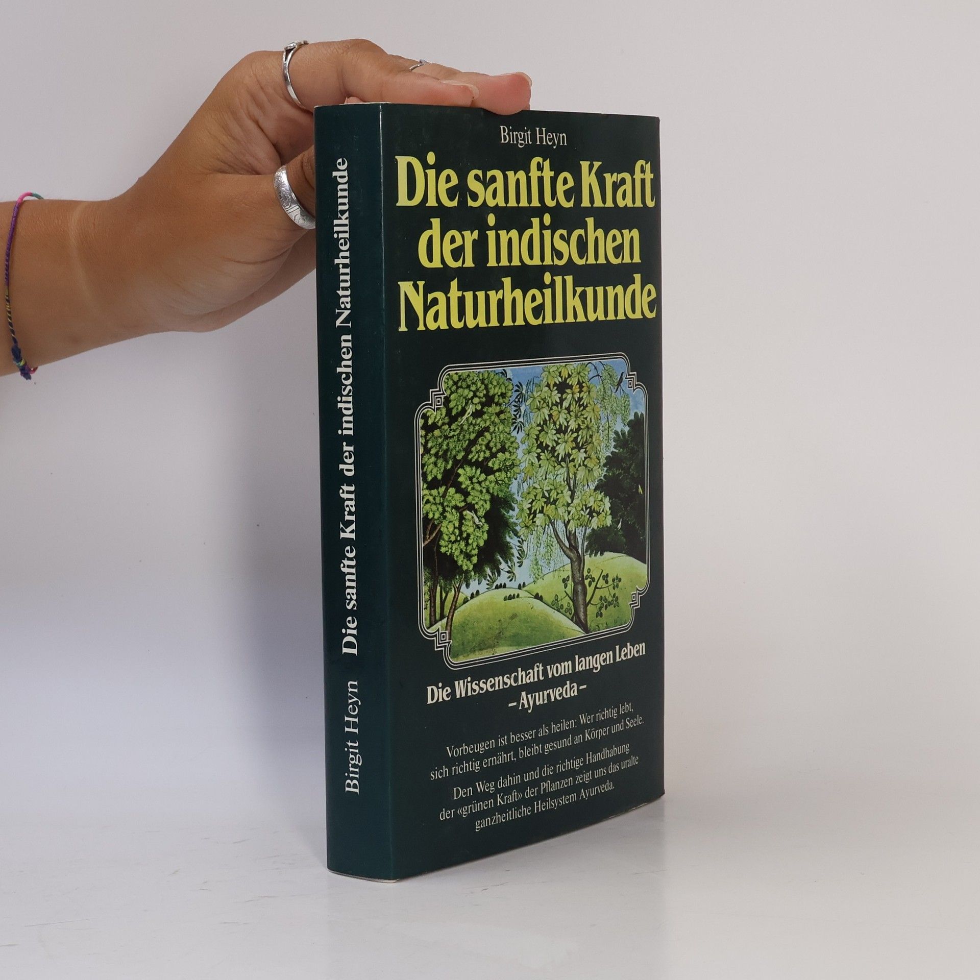 Birgit Heyn Die Sanfte Kraft der indischen Naturheilkunde