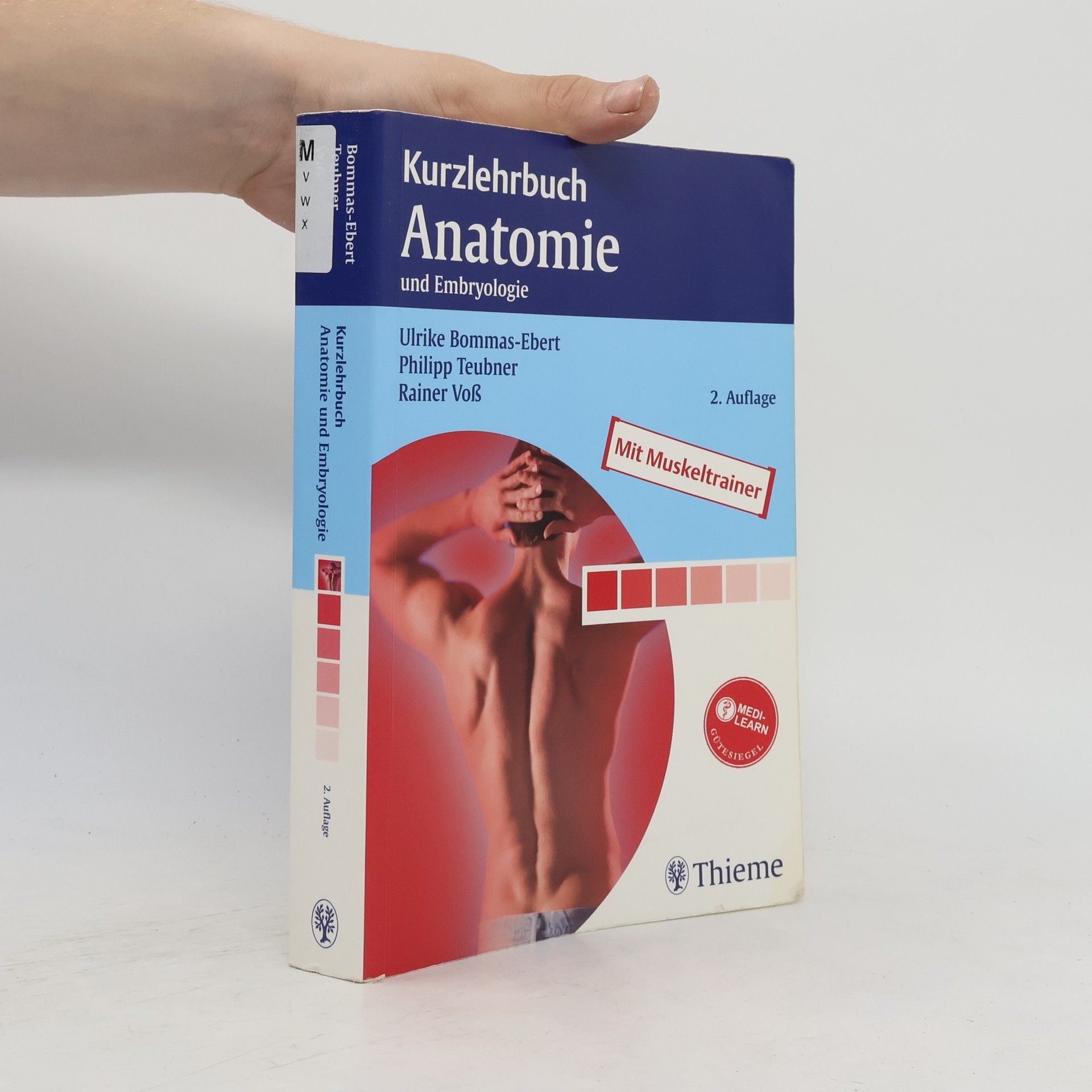 Ulrike Bommas Ebert Kurzlehrbuch Anatomie und Embryologie