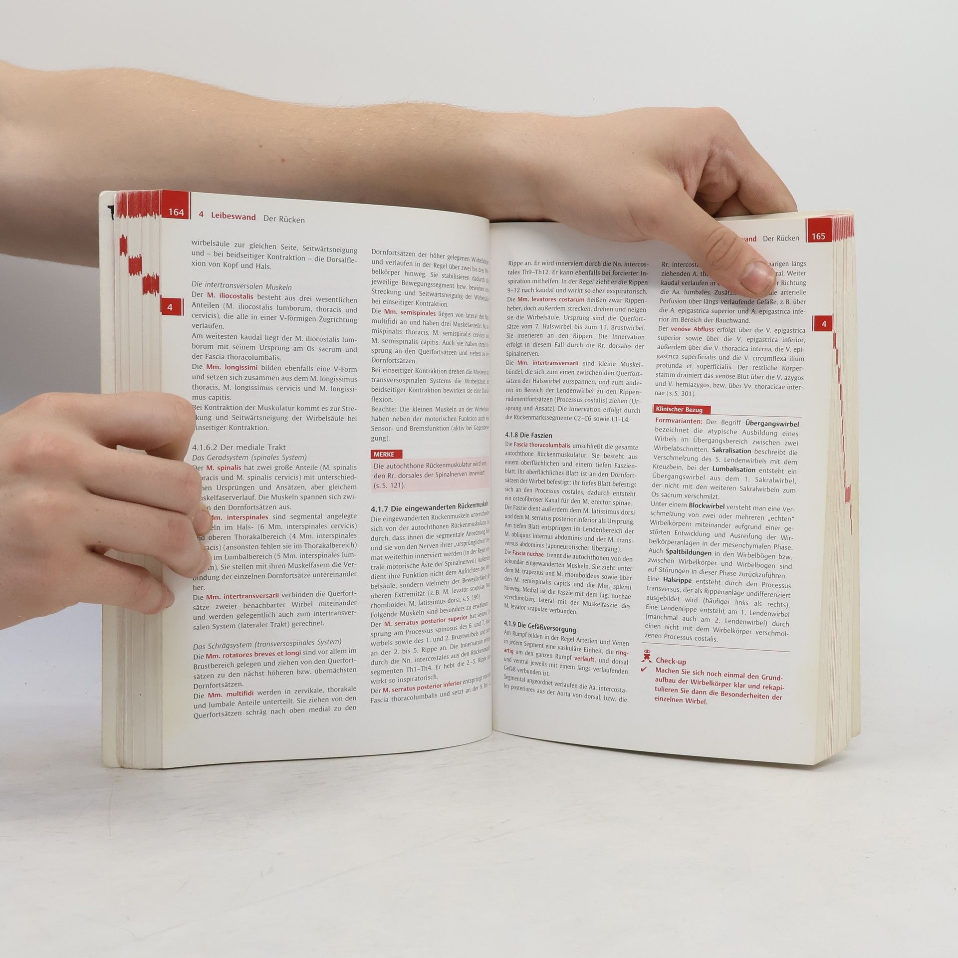 Ulrike Bommas Ebert Kurzlehrbuch Anatomie und Embryologie