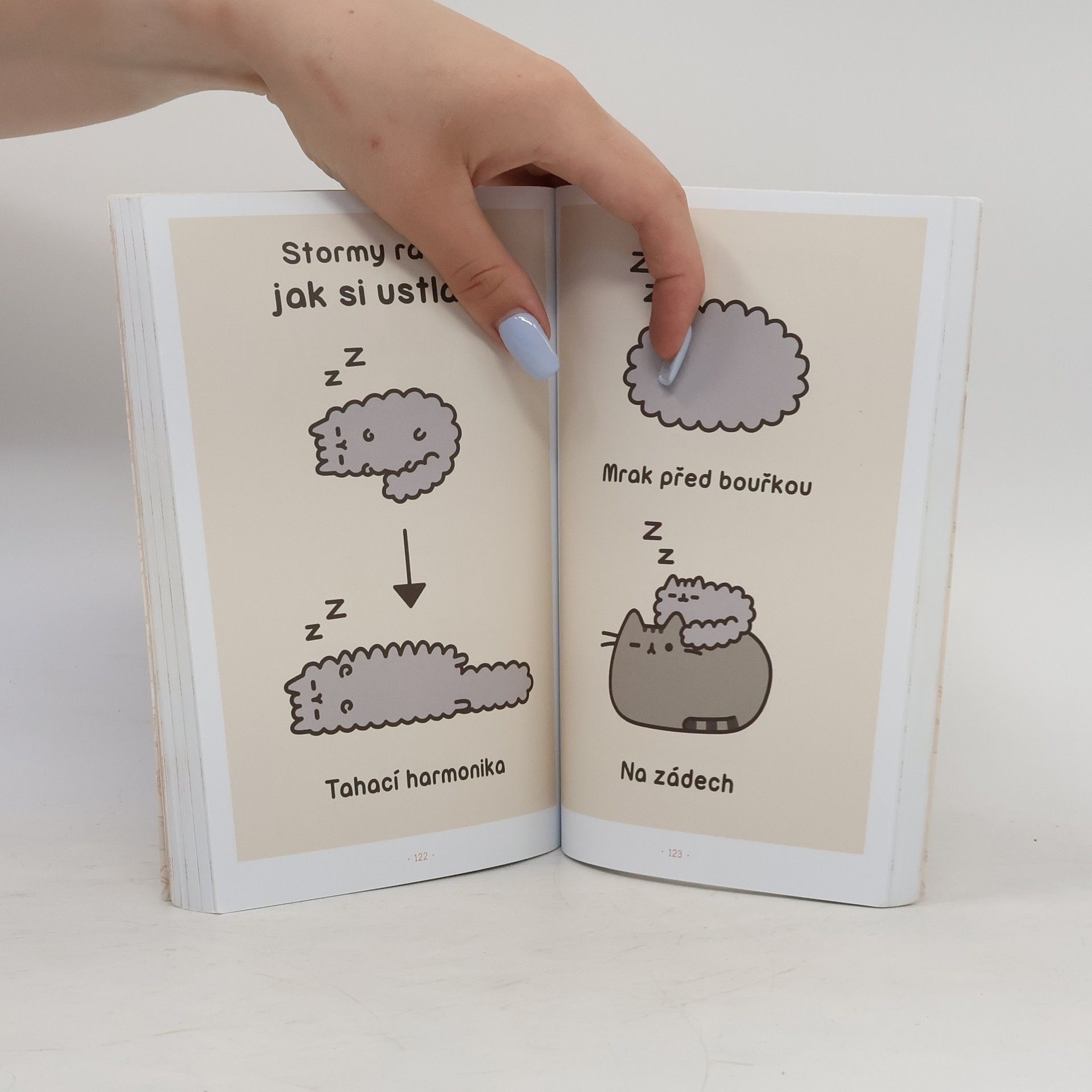 Claire Belton Pusheen. Já, košišta