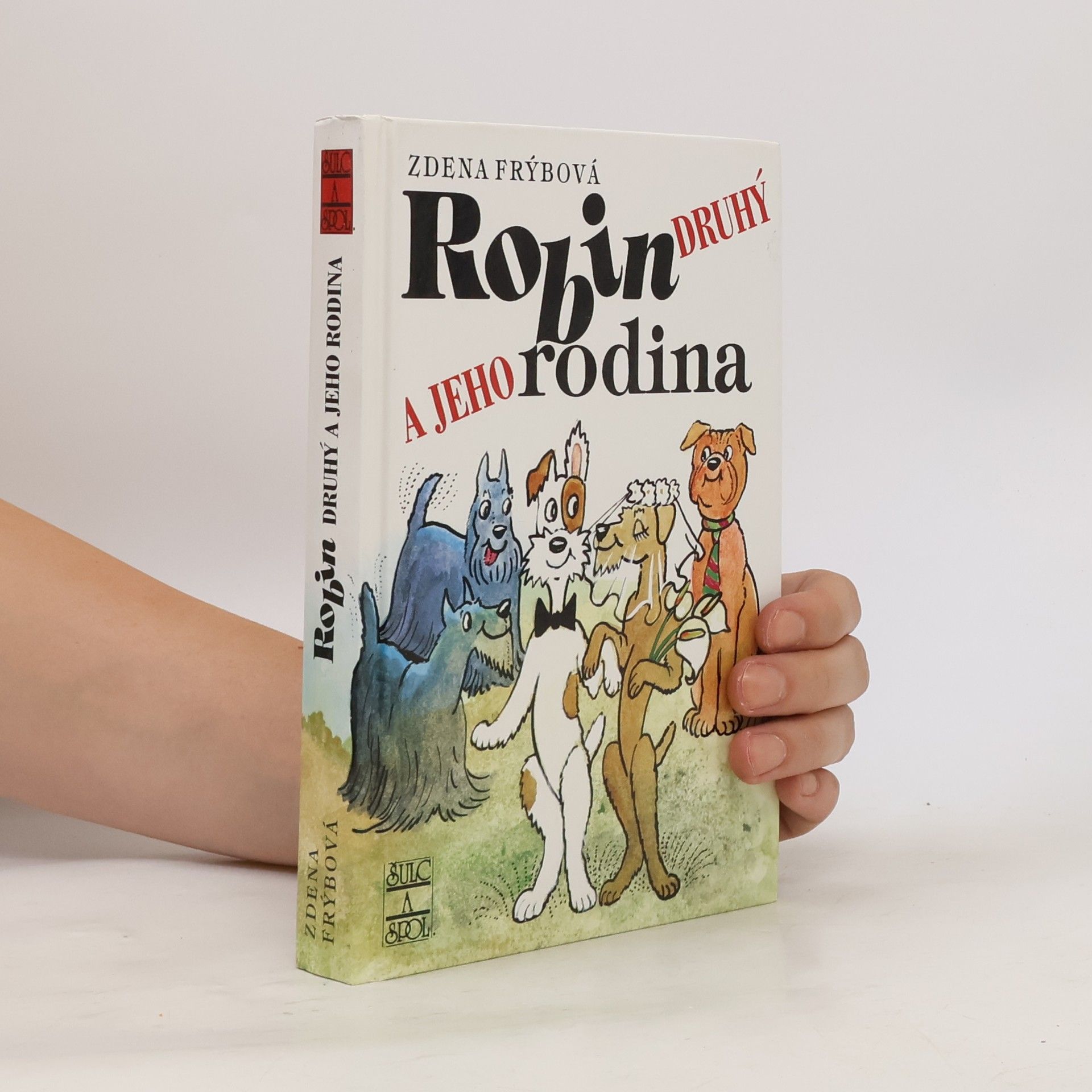 Zdena Frýbová Robin Druhý a jeho rodina