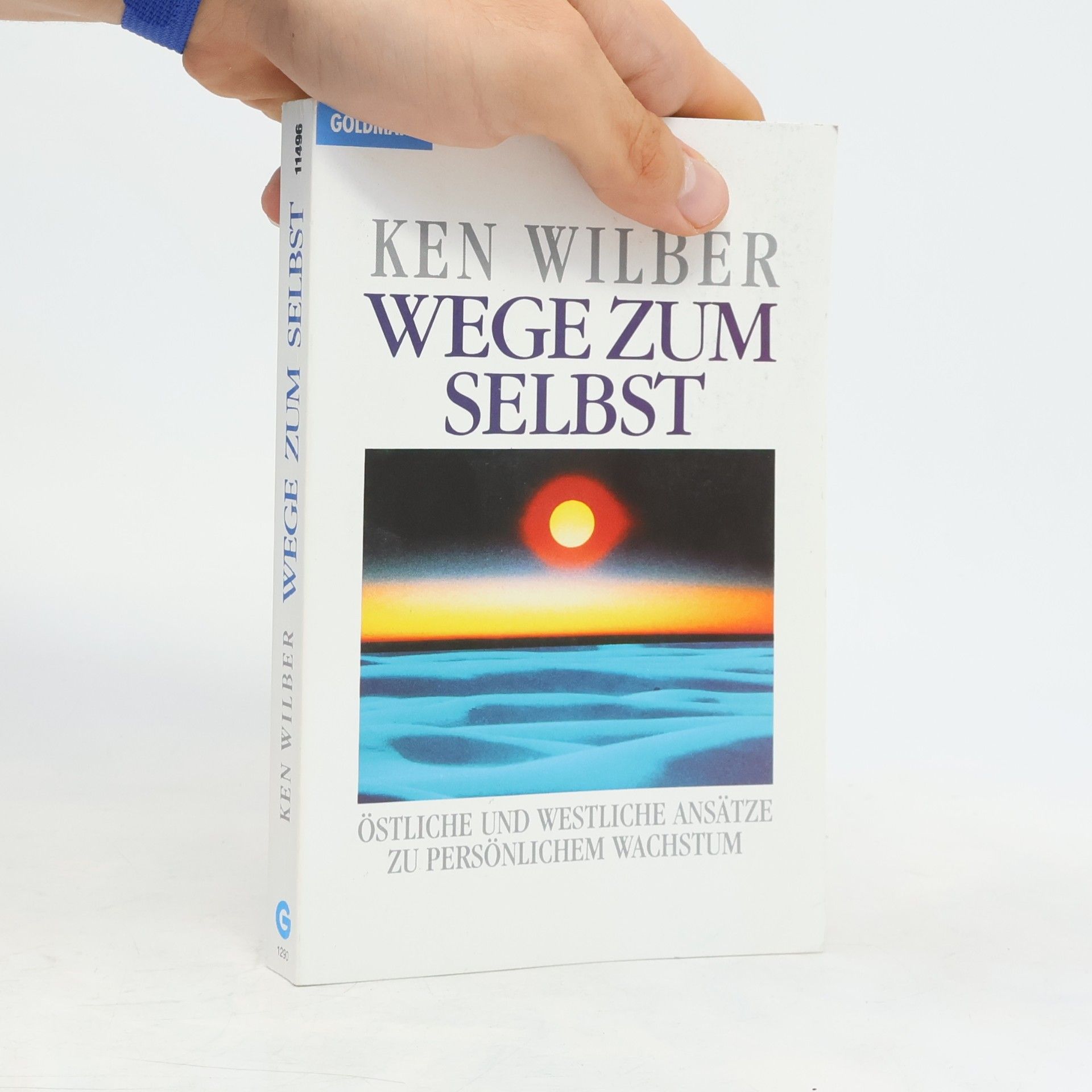 Ken Wilber Wege zum Selbst