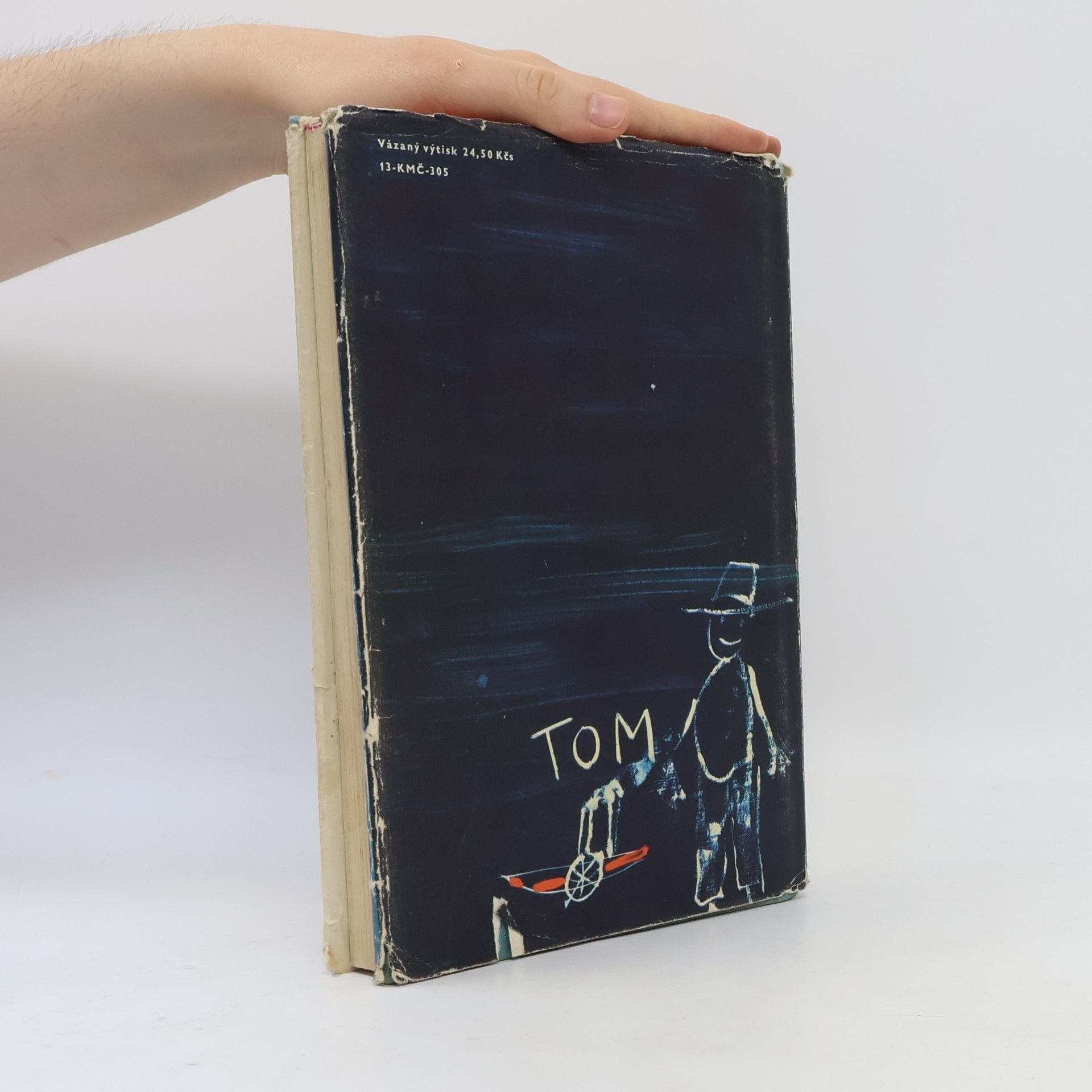 Mark Twain Dobrodružství Toma Sawyera