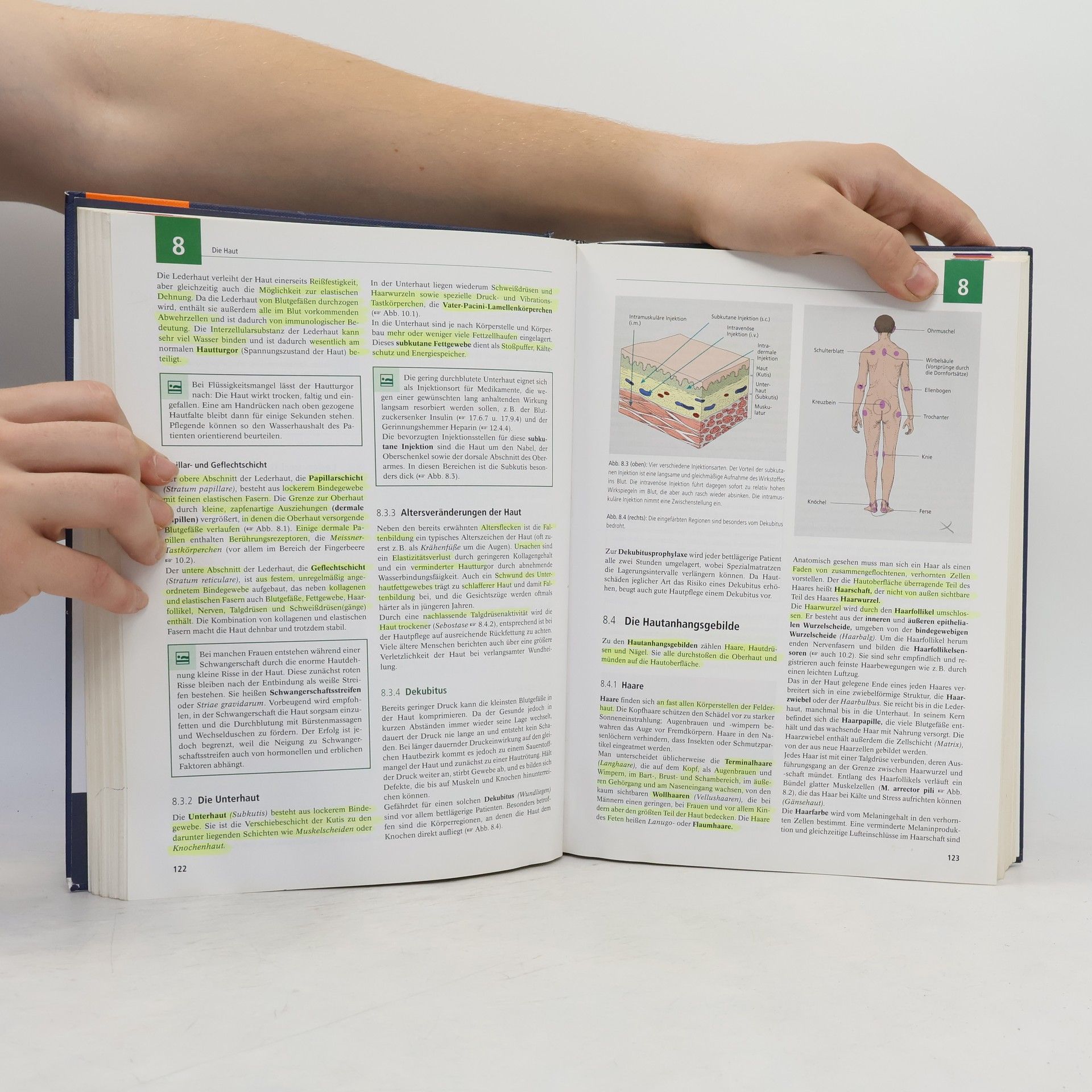 Nicole Menche Biologie, Anatomie, Physiologie