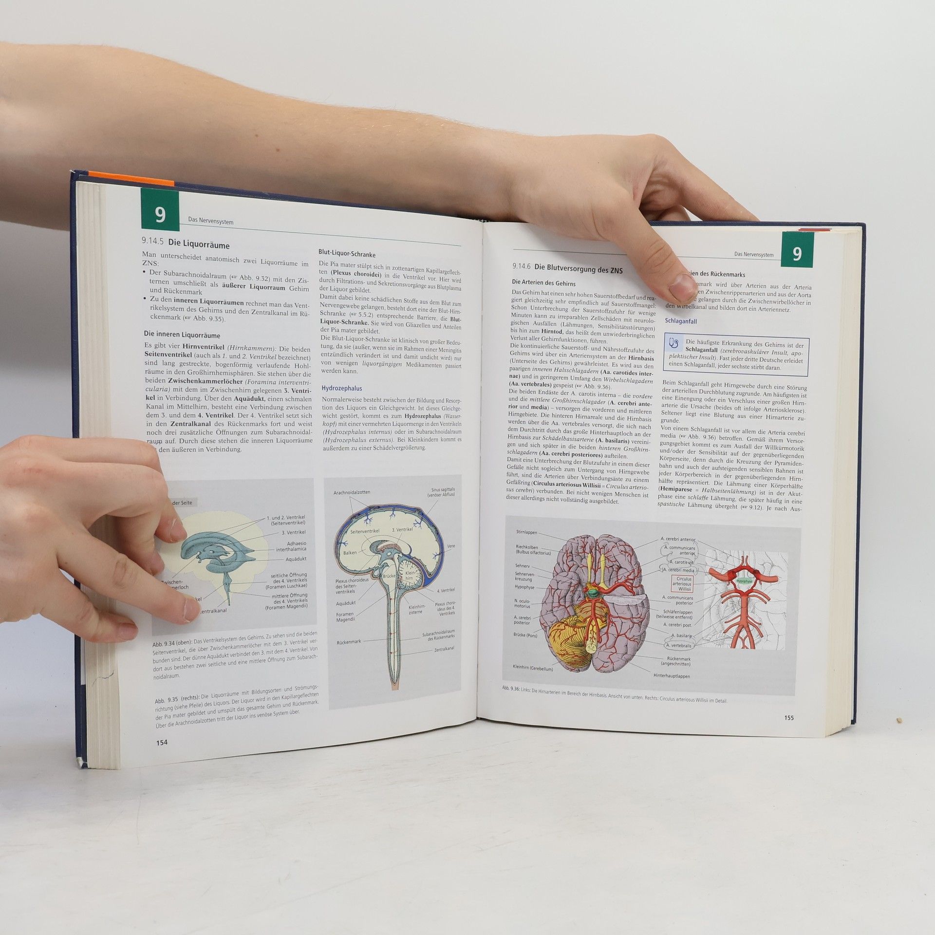 Nicole Menche Biologie, Anatomie, Physiologie