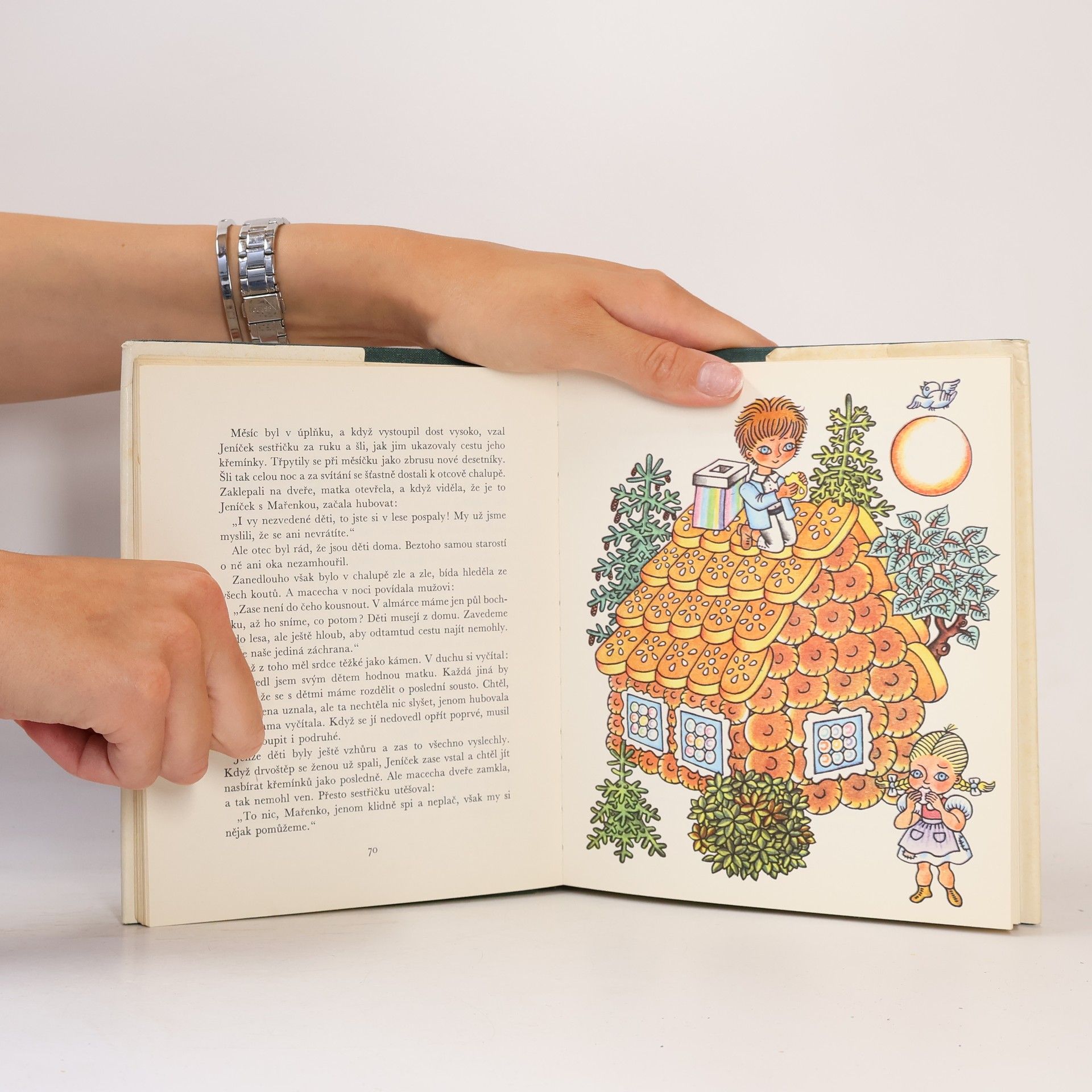 Jacob Grimm Pohádky bratří Grimmů